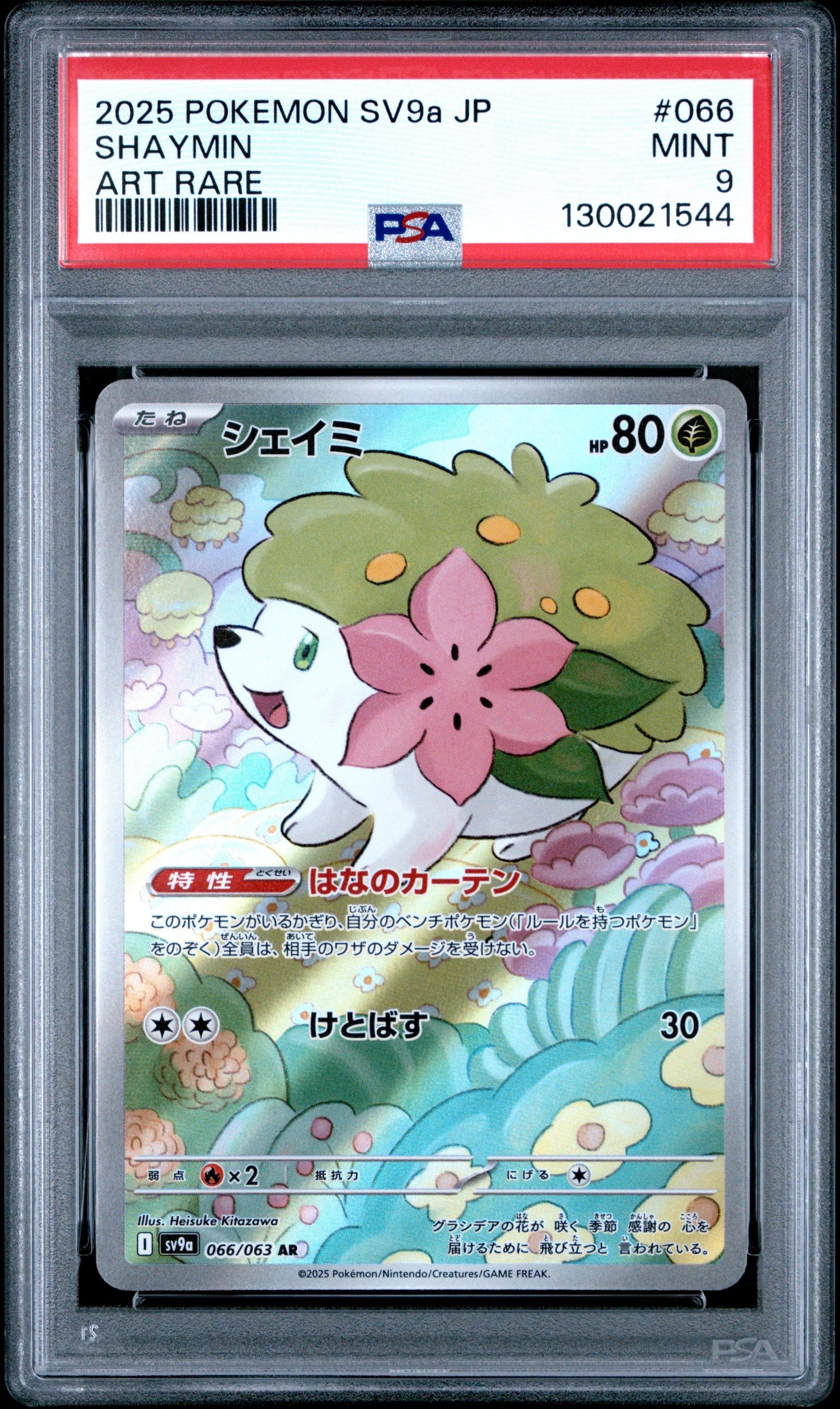 SHAYMIN