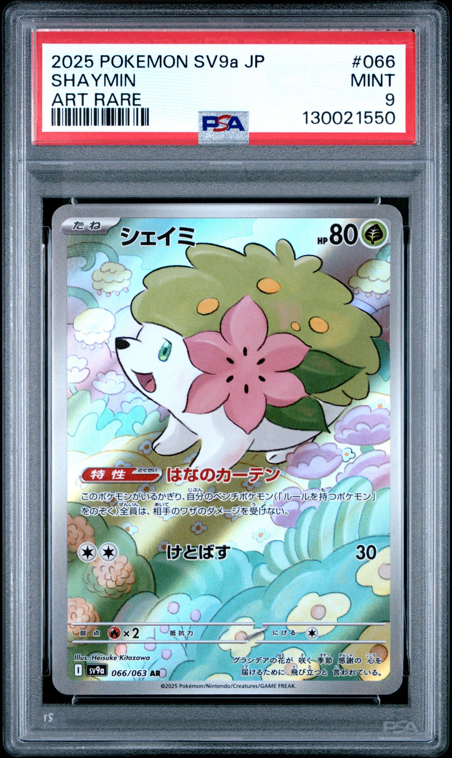 SHAYMIN