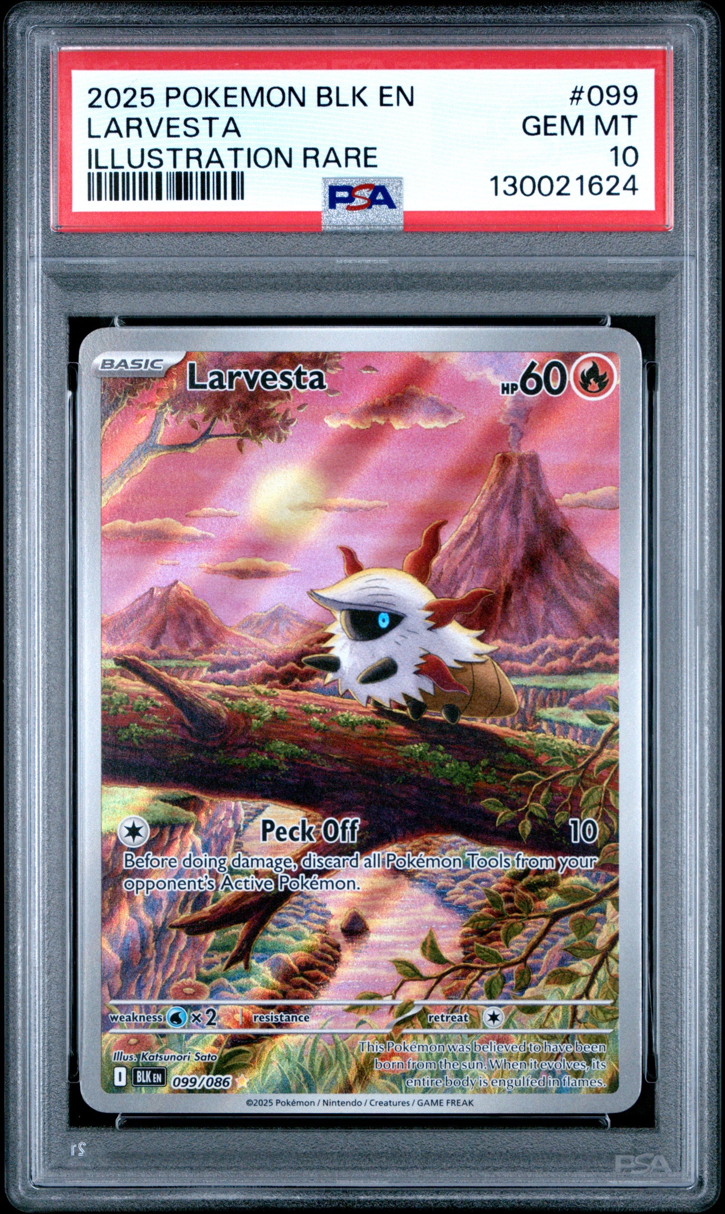 LARVESTA