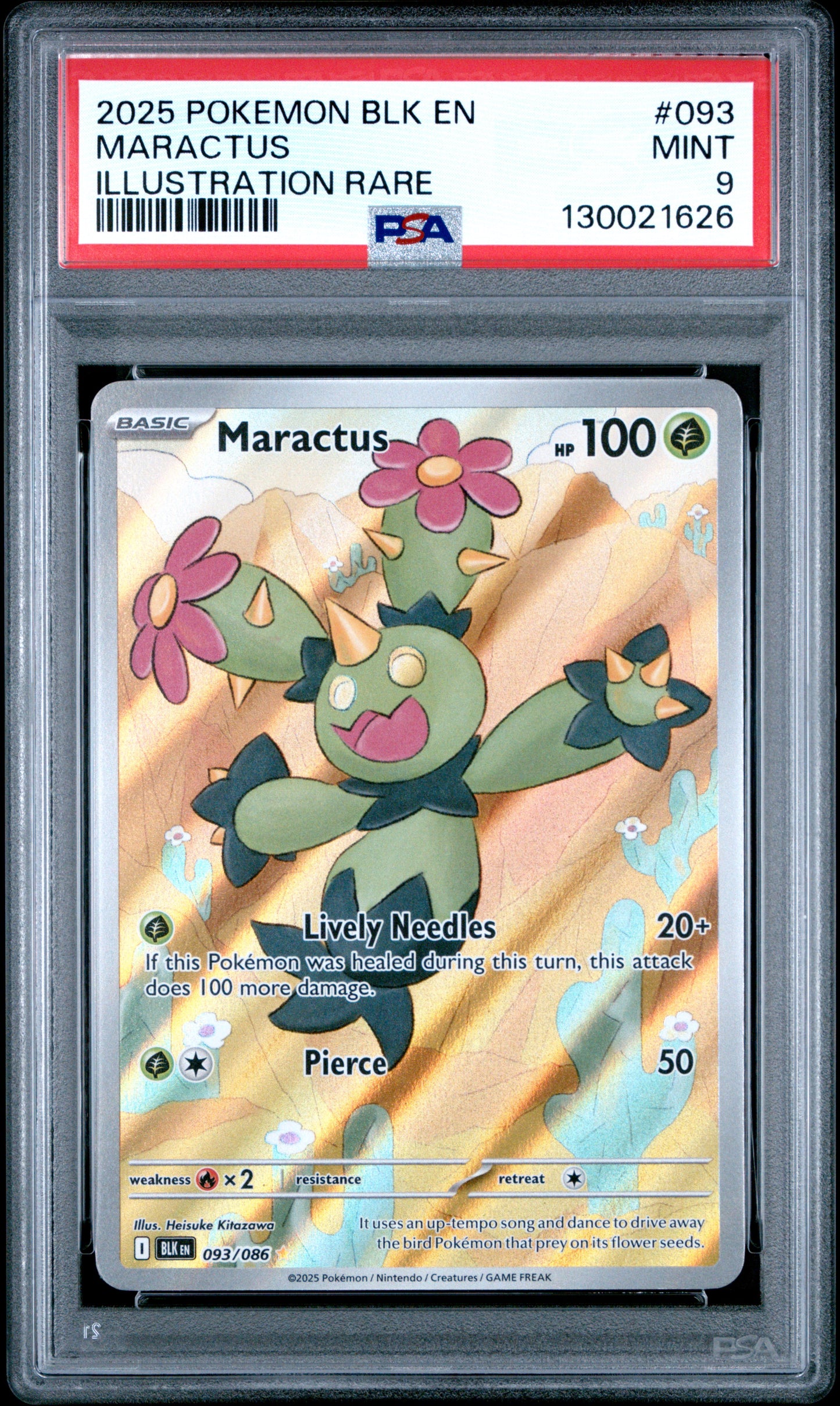 MARACTUS