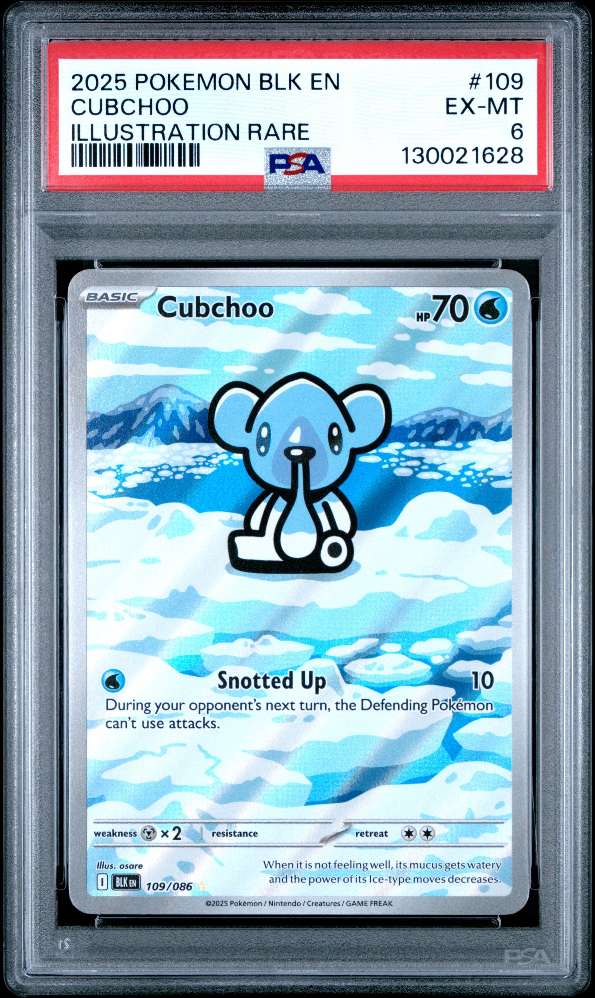 CUBCHOO