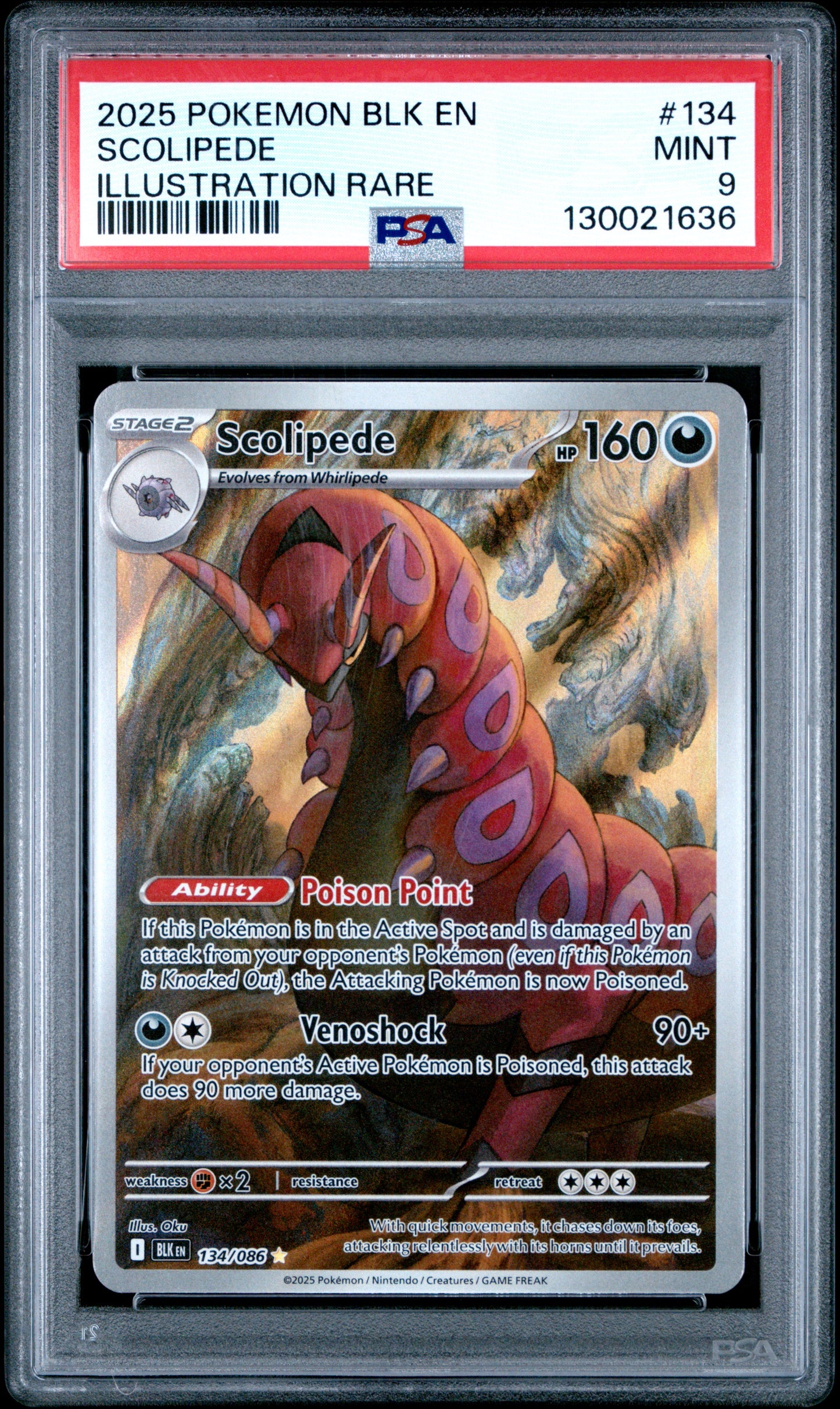 SCOLIPEDE