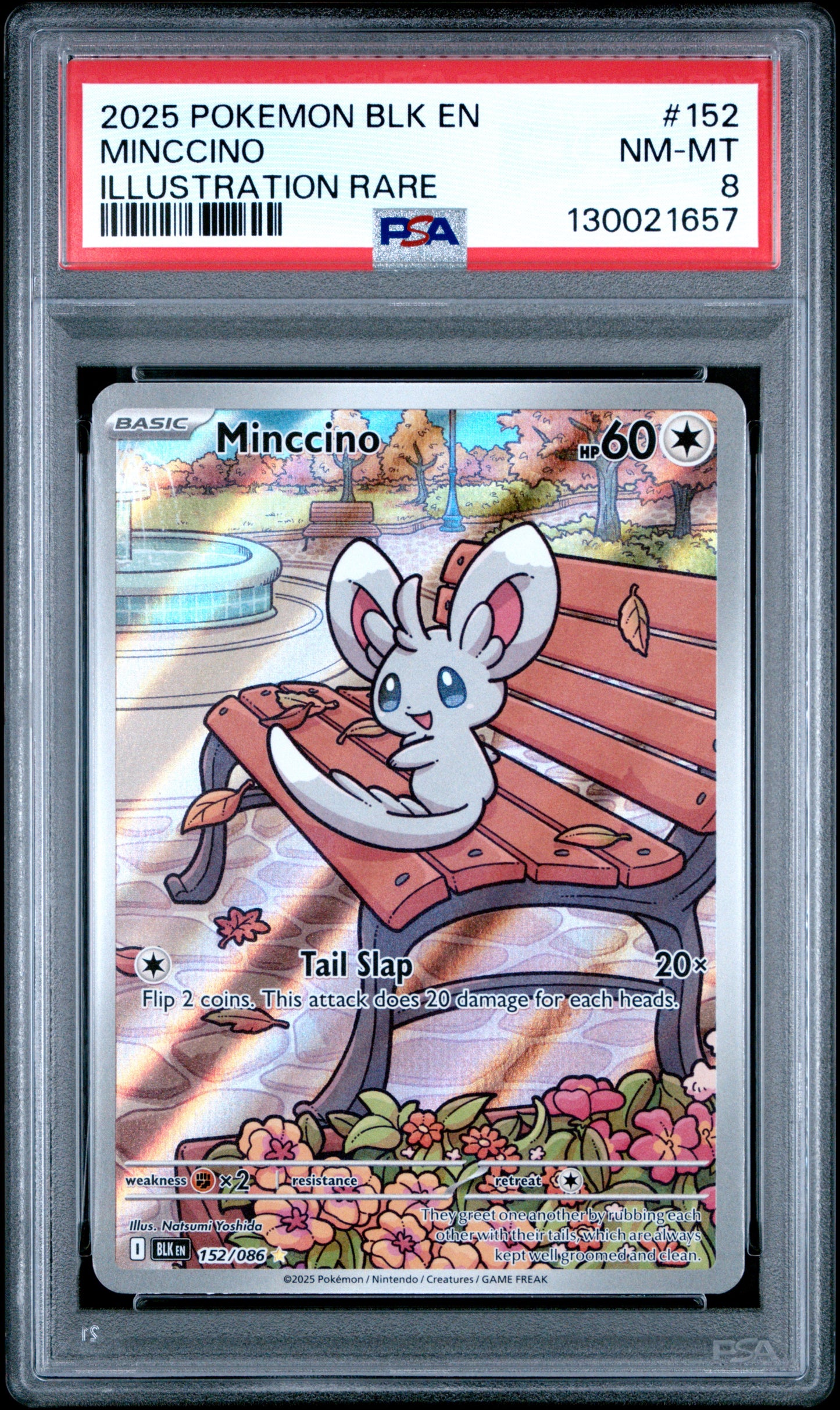 MINCCINO