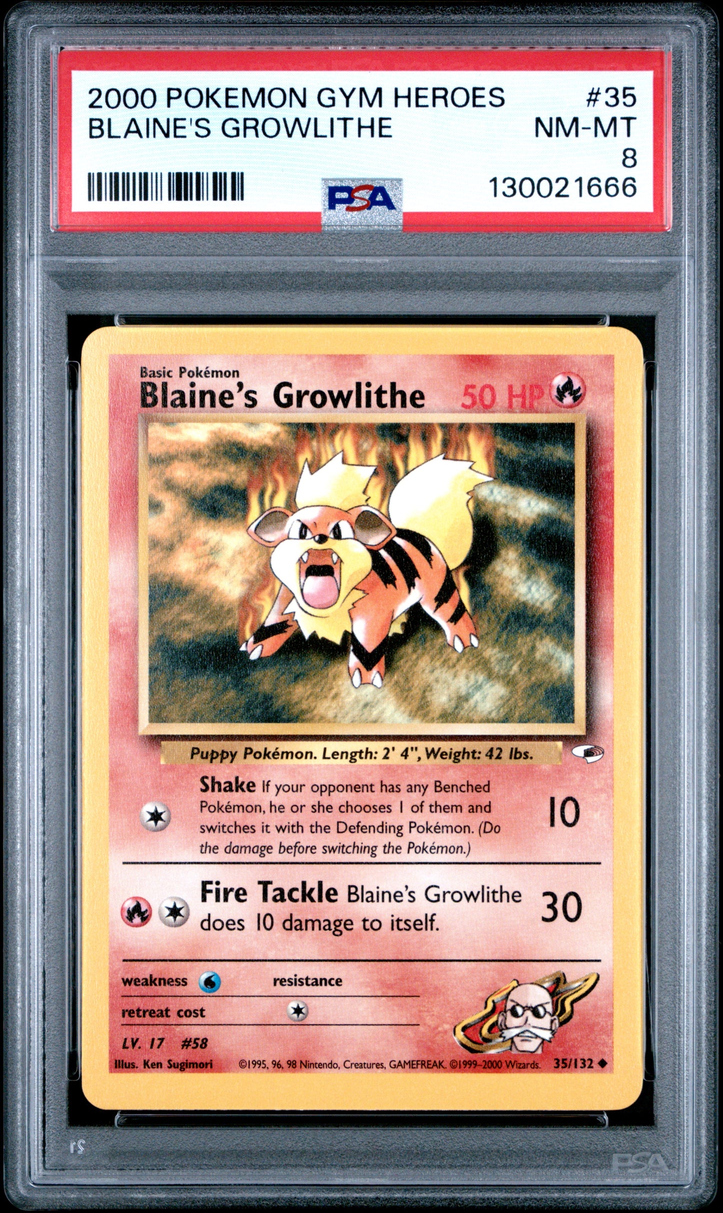 BLAINE'S GROWLITHE