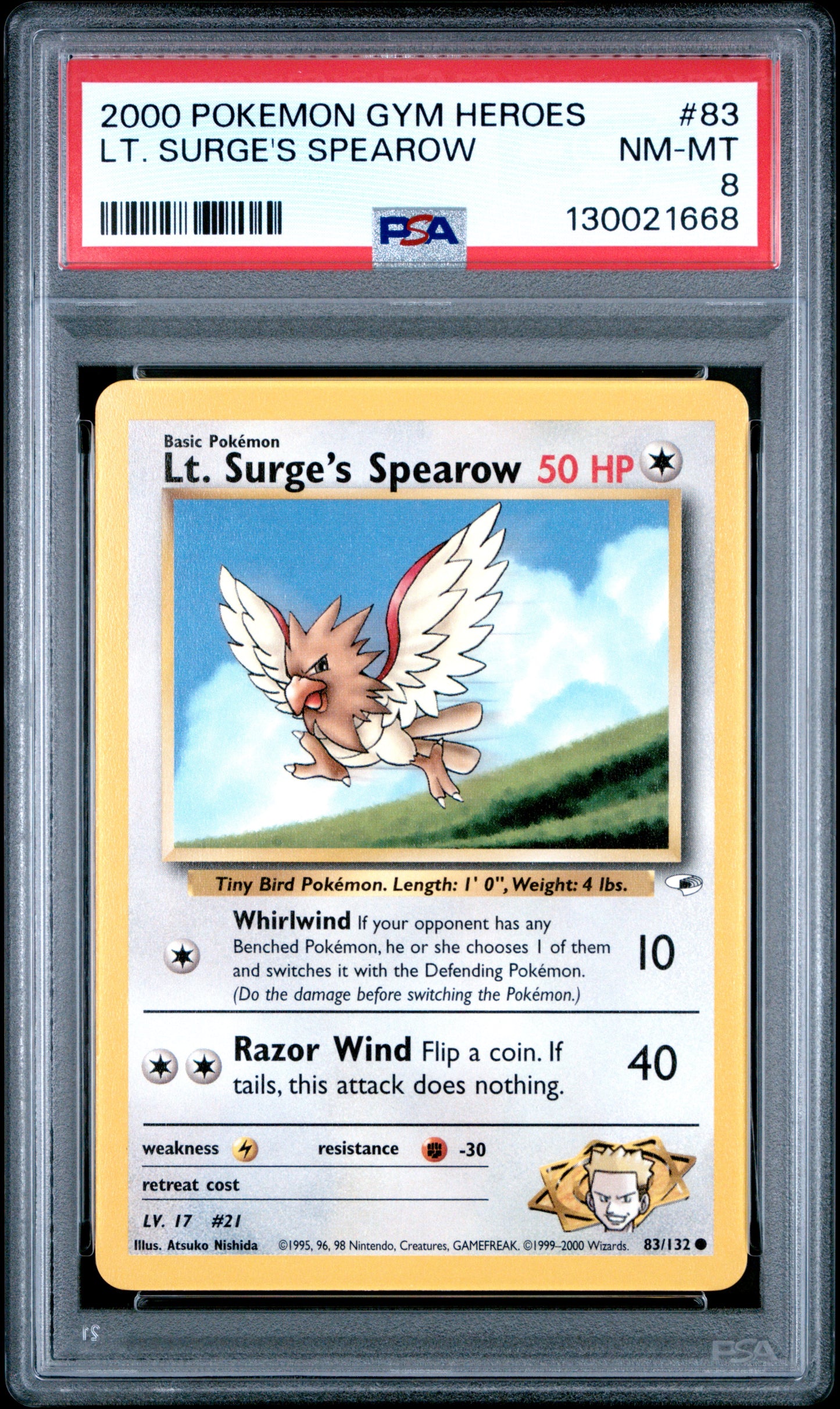 LT. SURGE'S SPEAROW