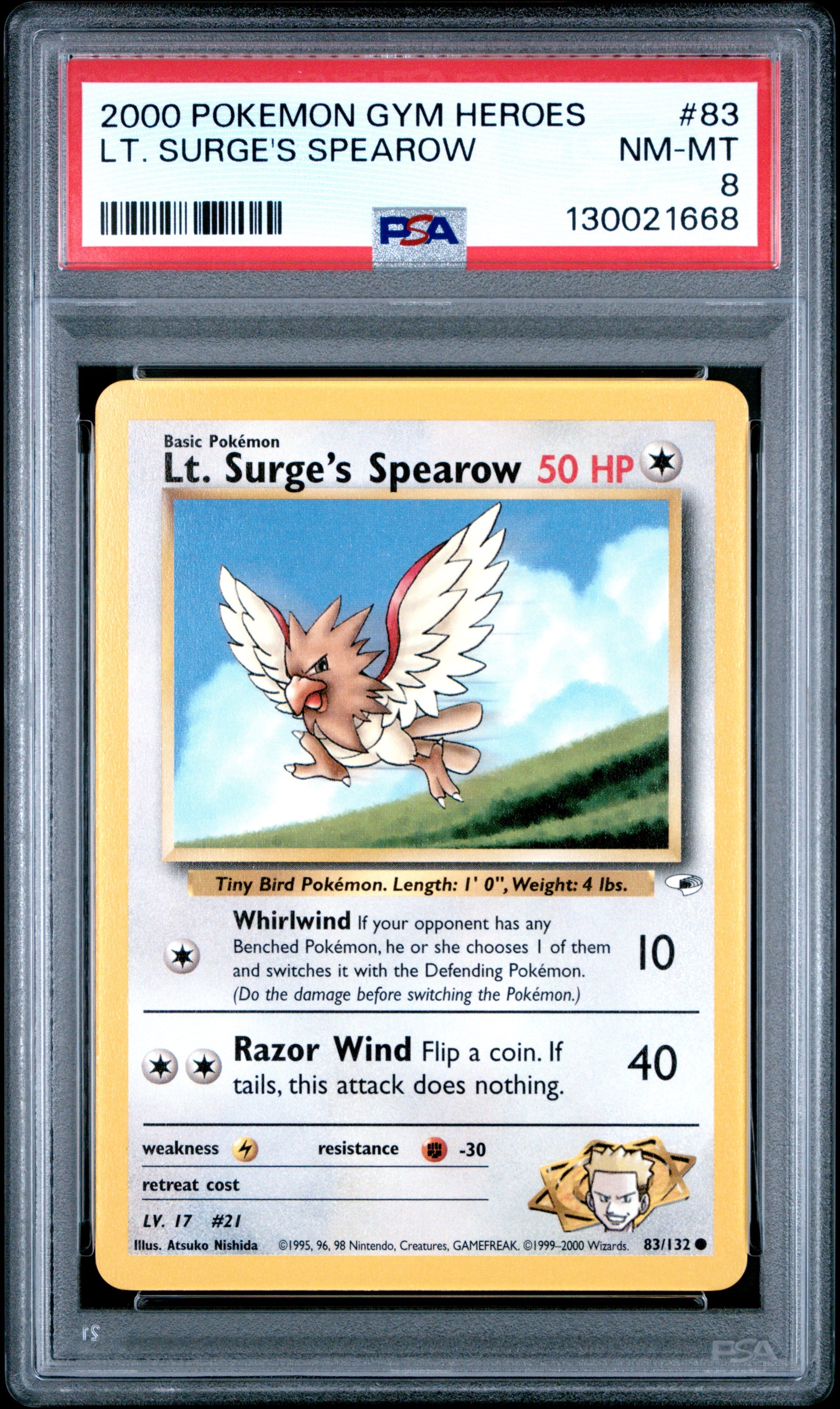 LT. SURGE'S SPEAROW