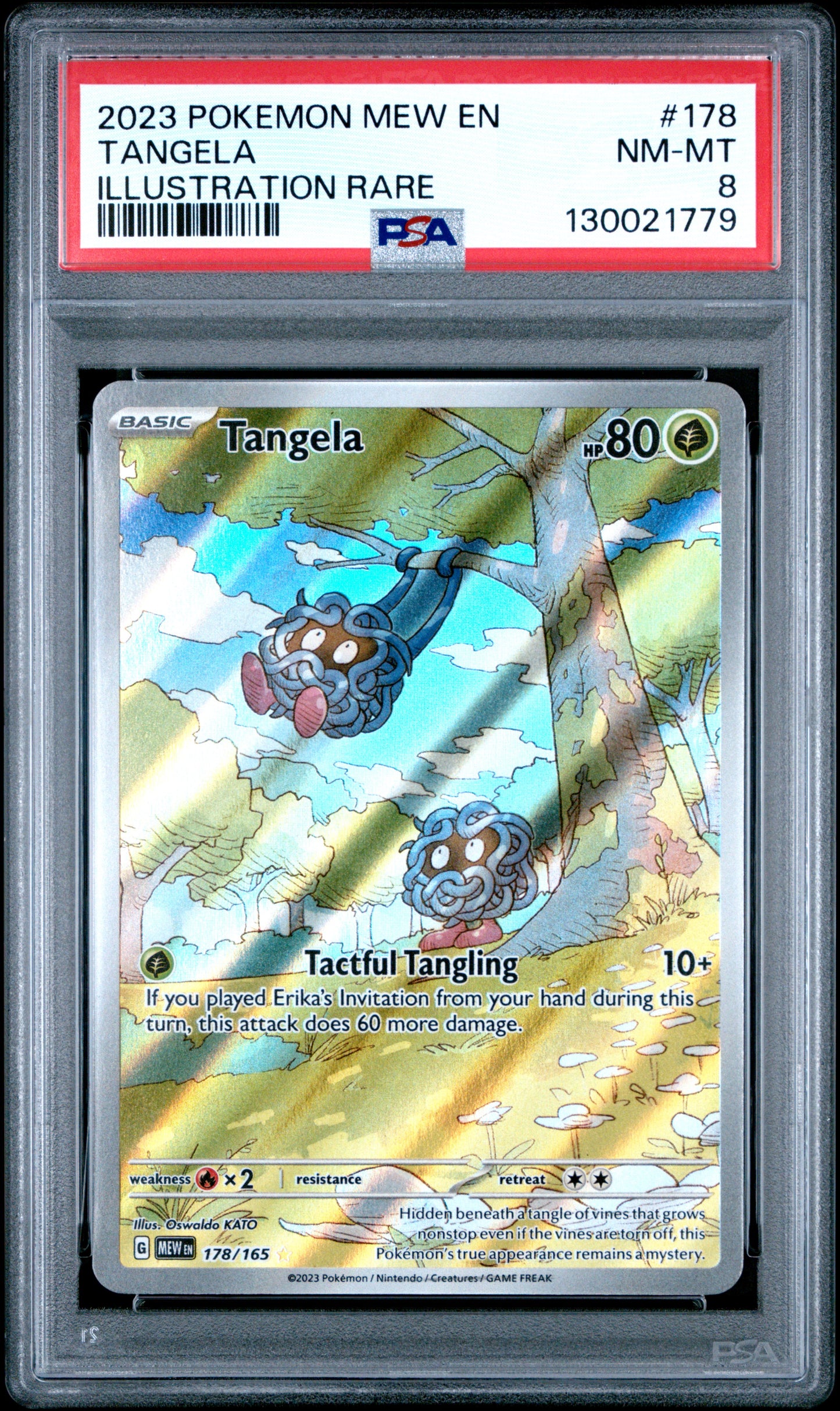TANGELA