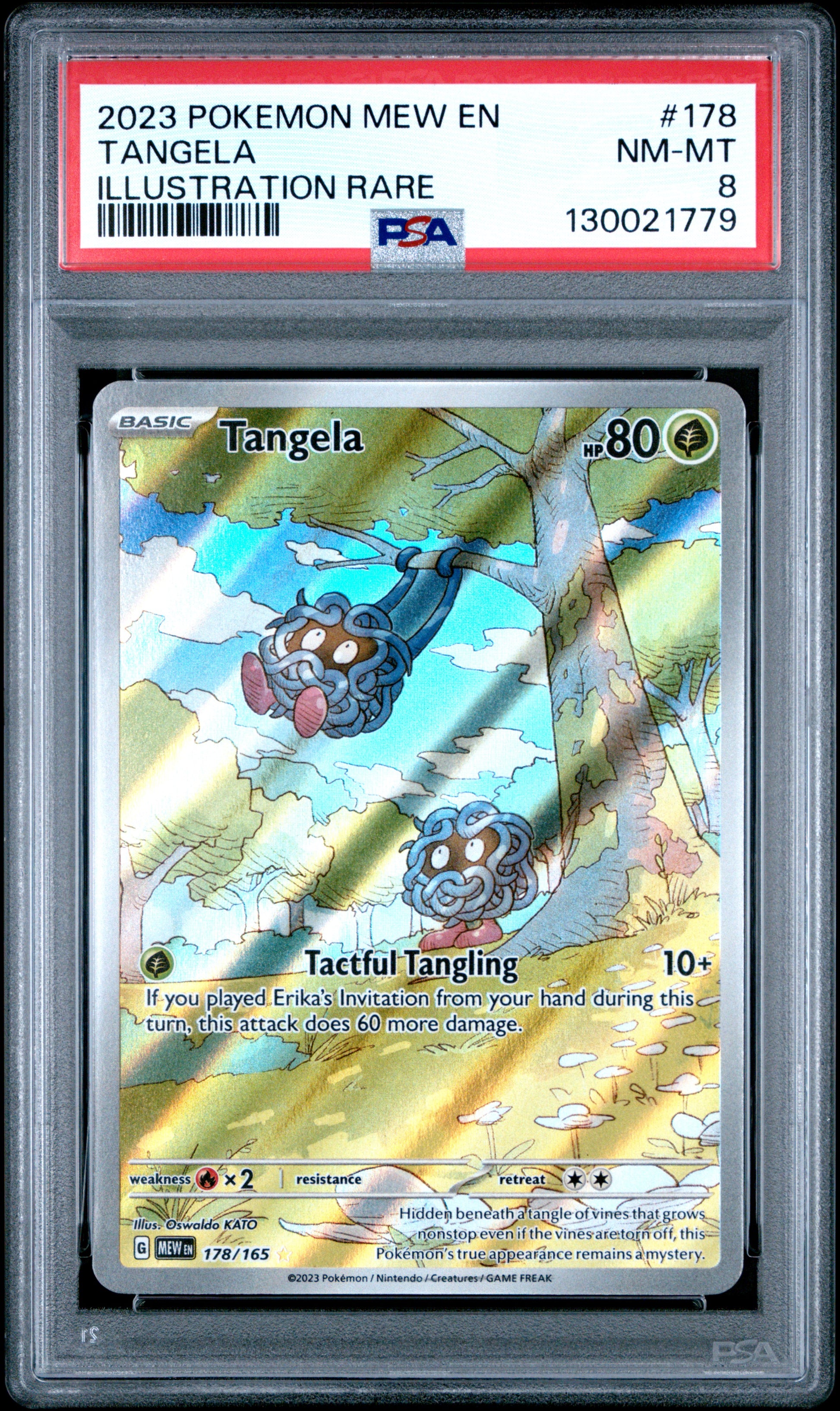 TANGELA