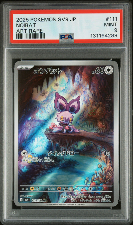 NOIBAT