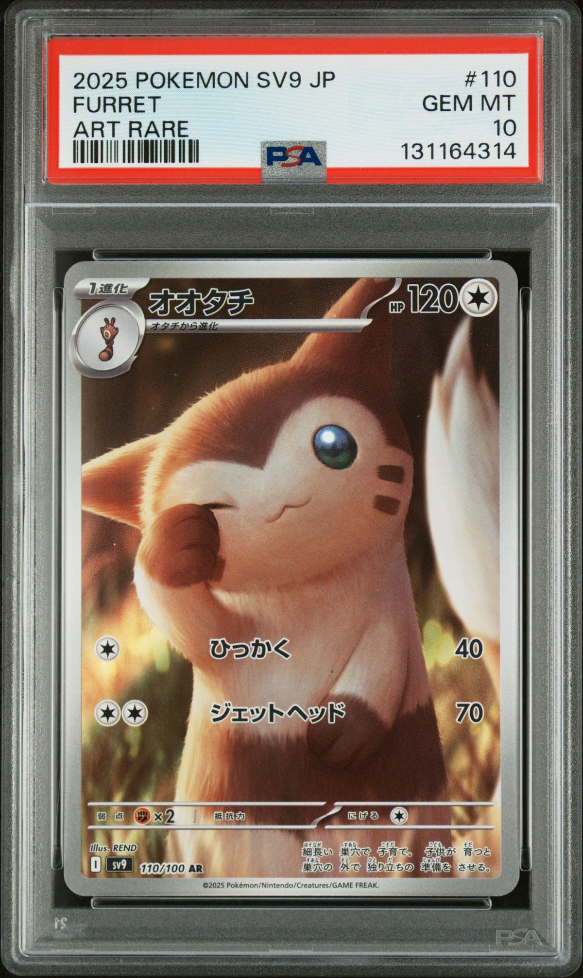 FURRET