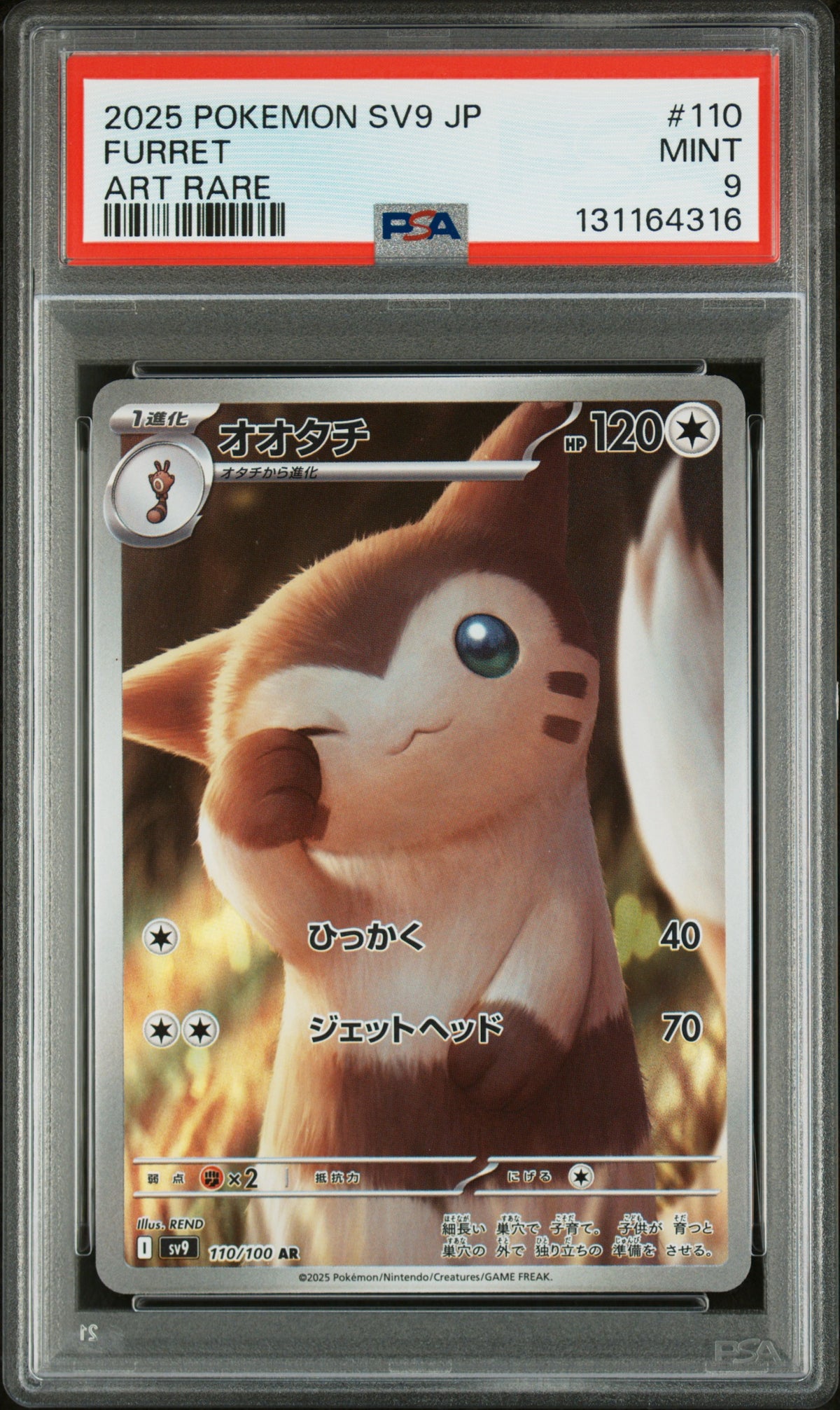 FURRET
