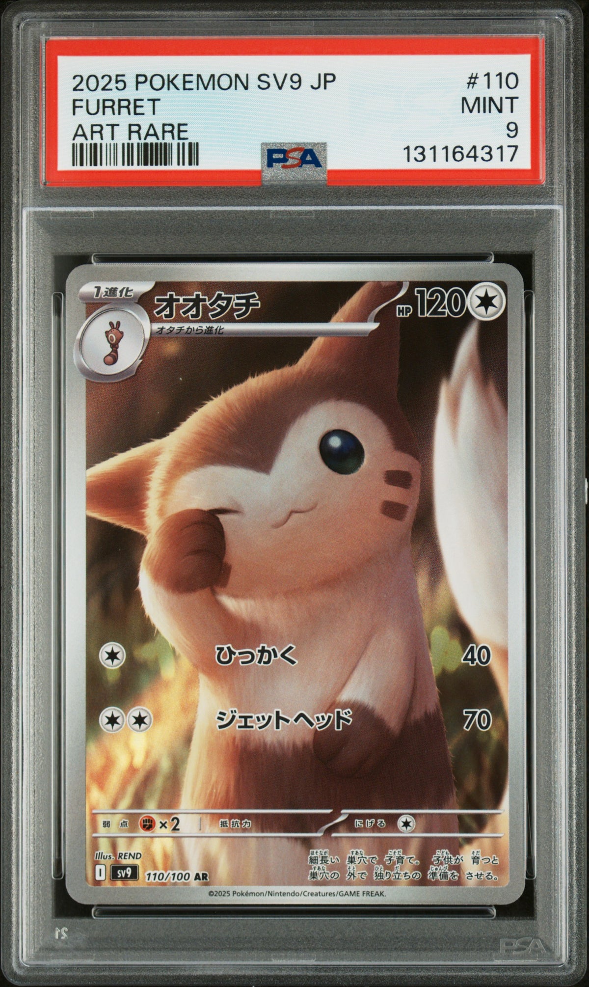 FURRET