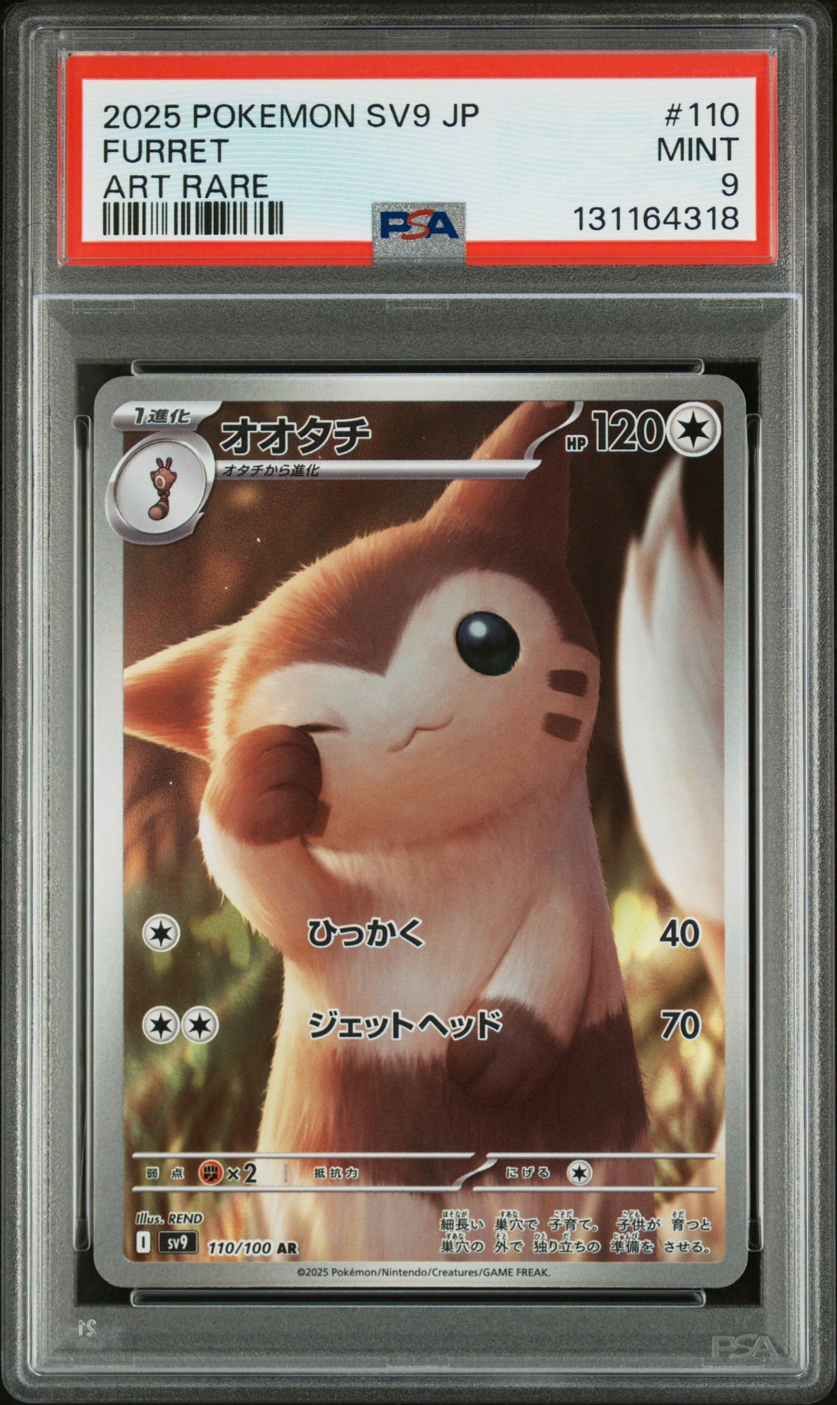 FURRET