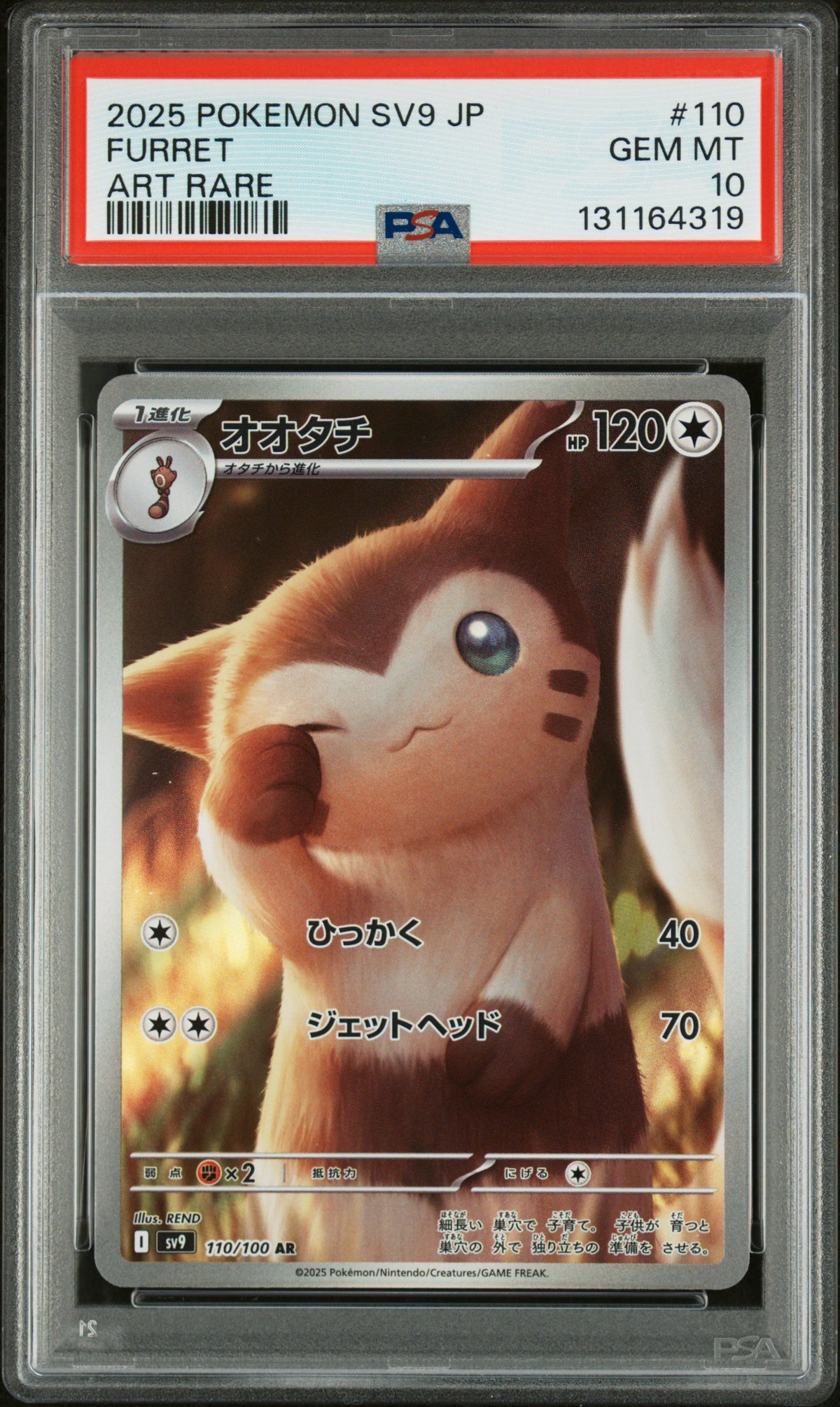 FURRET