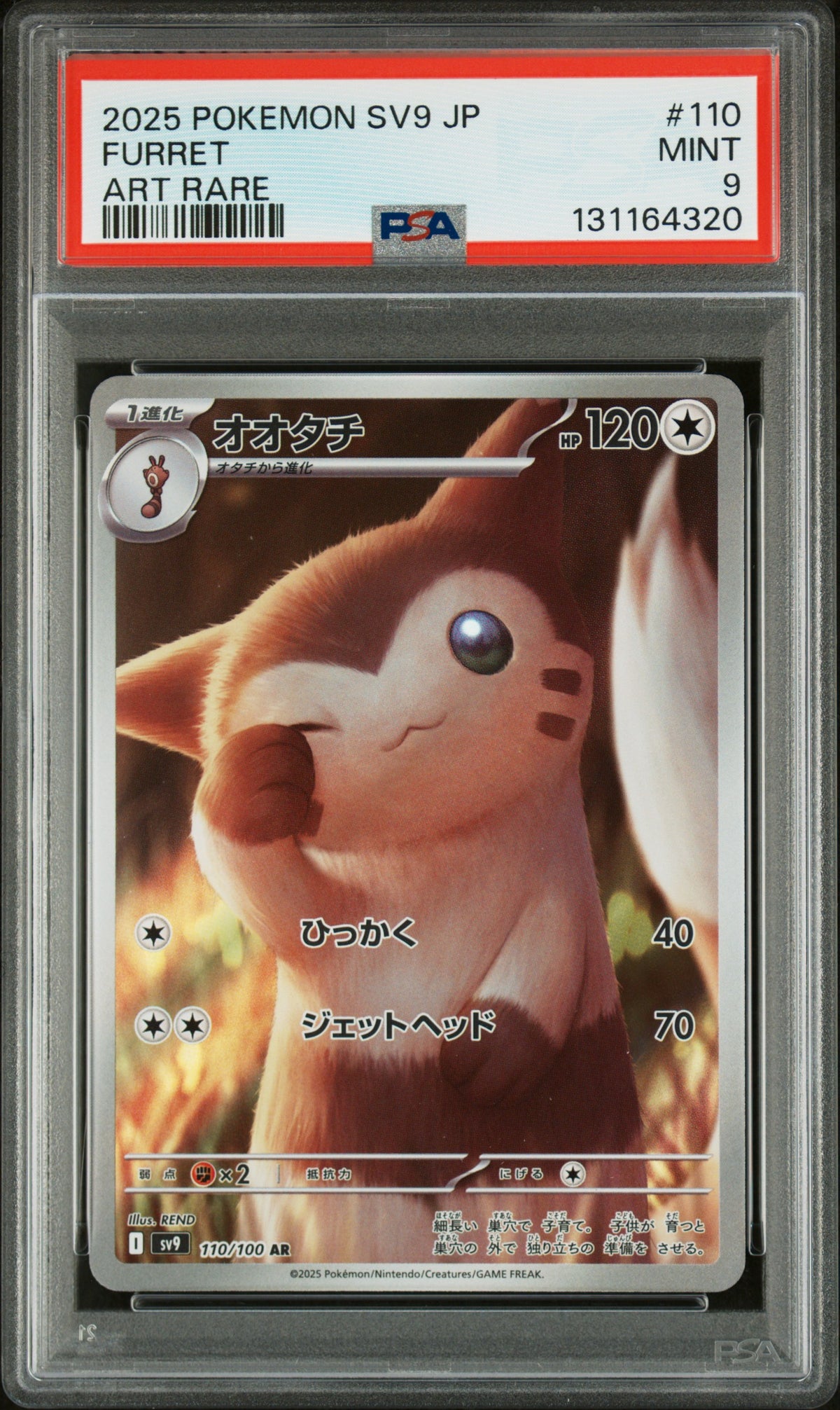 FURRET