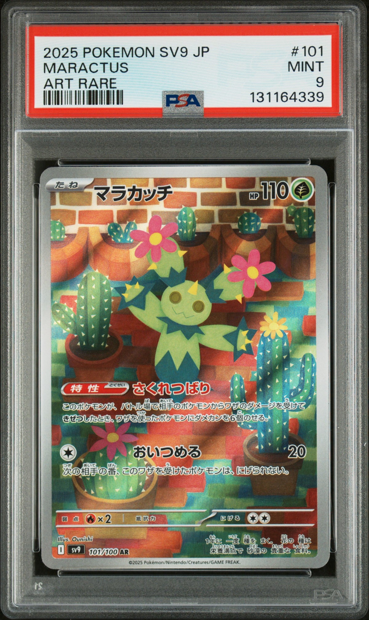 MARACTUS