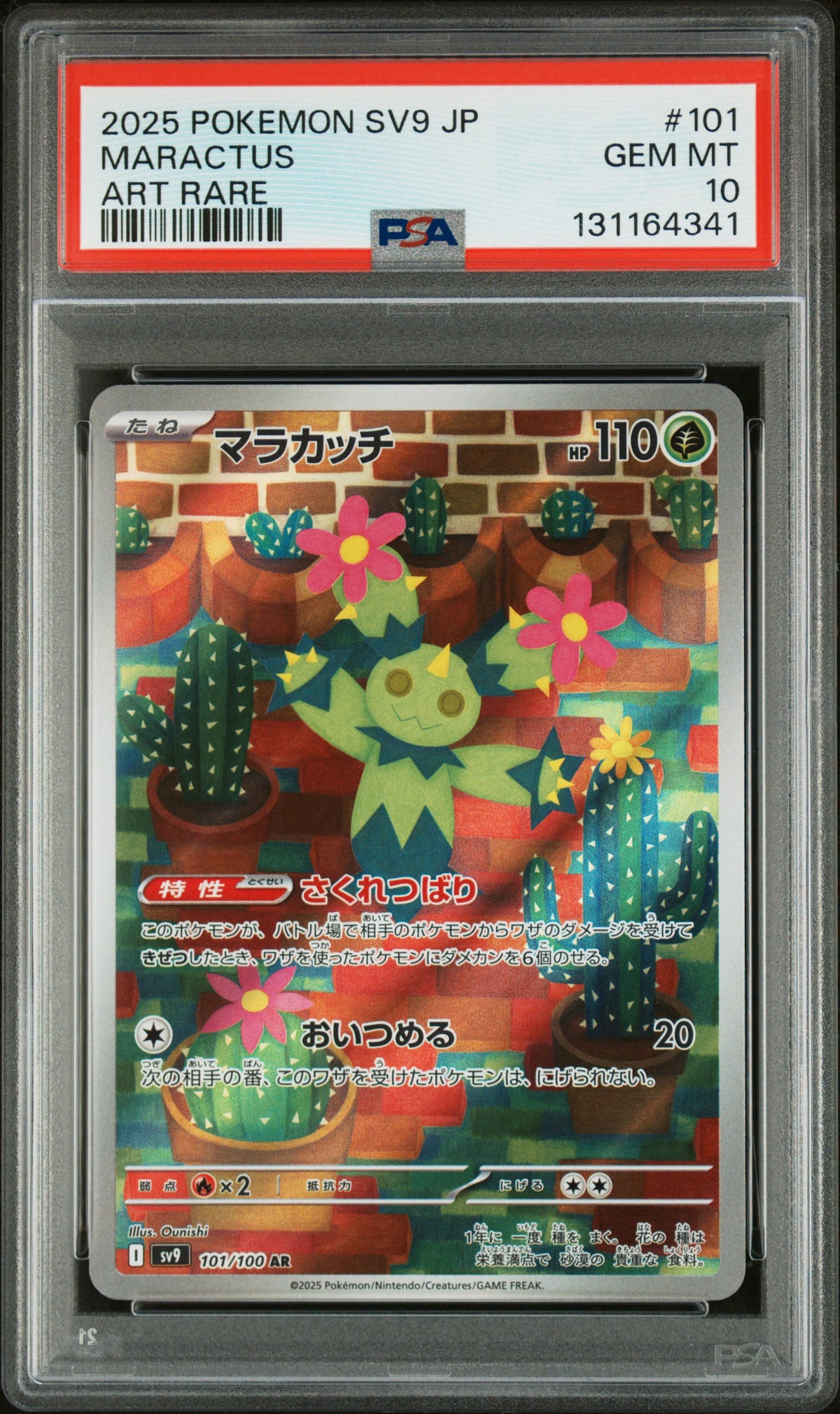 MARACTUS