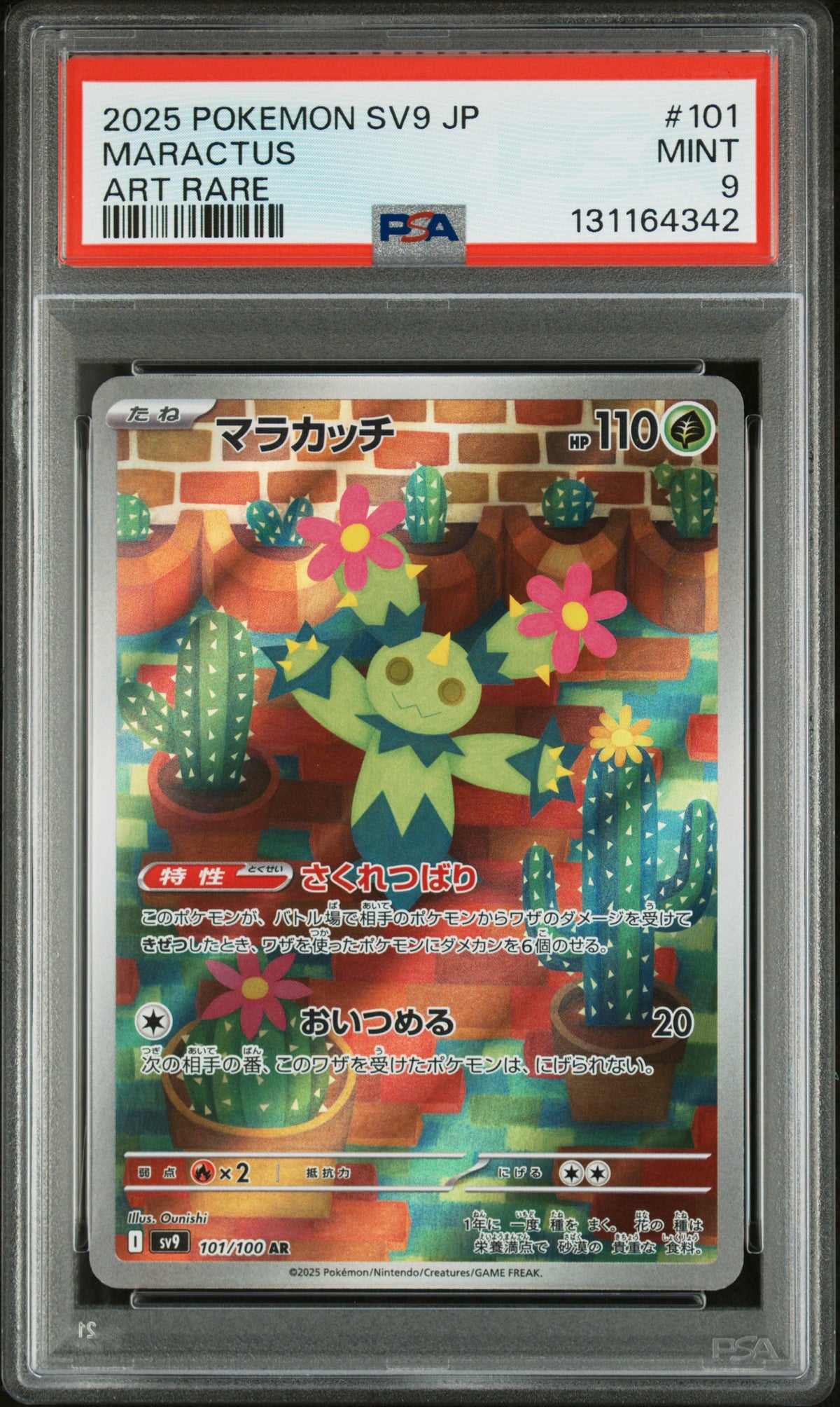 MARACTUS