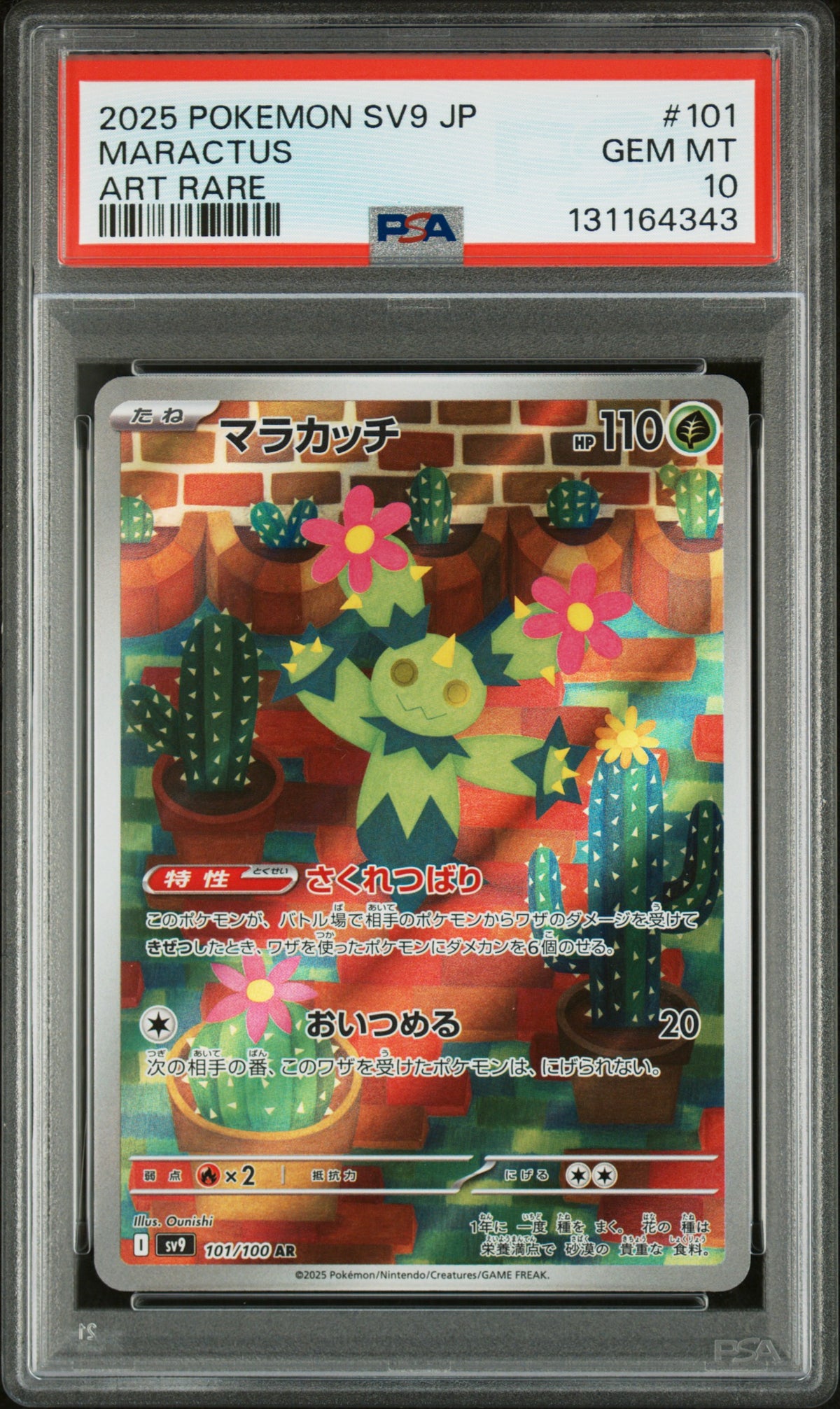 MARACTUS