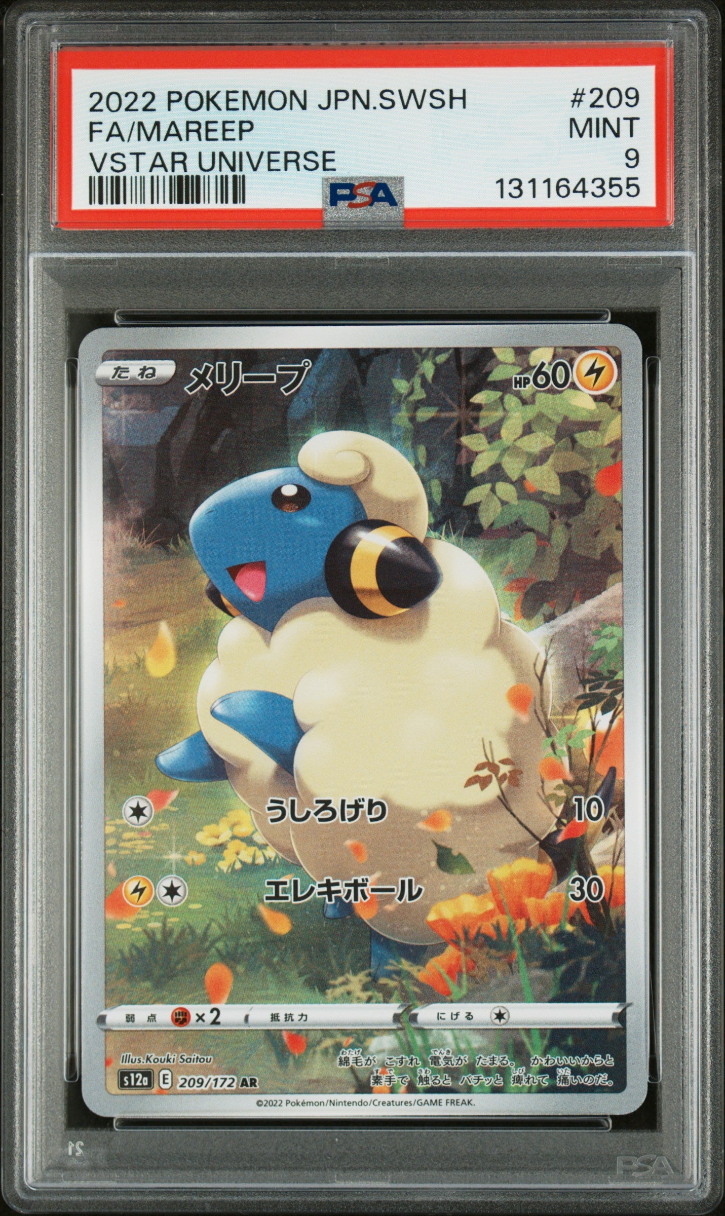 MAREEP