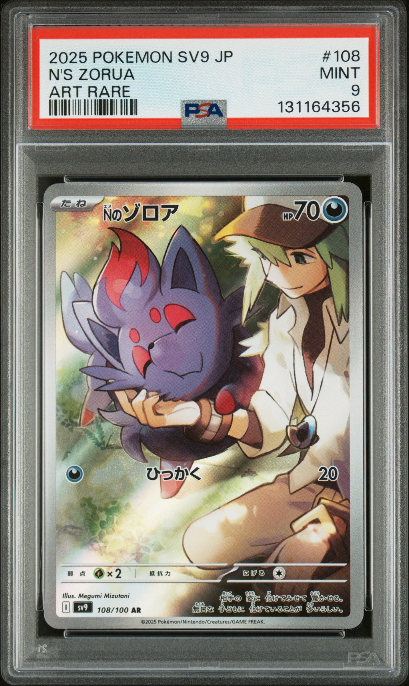 N'S ZORUA