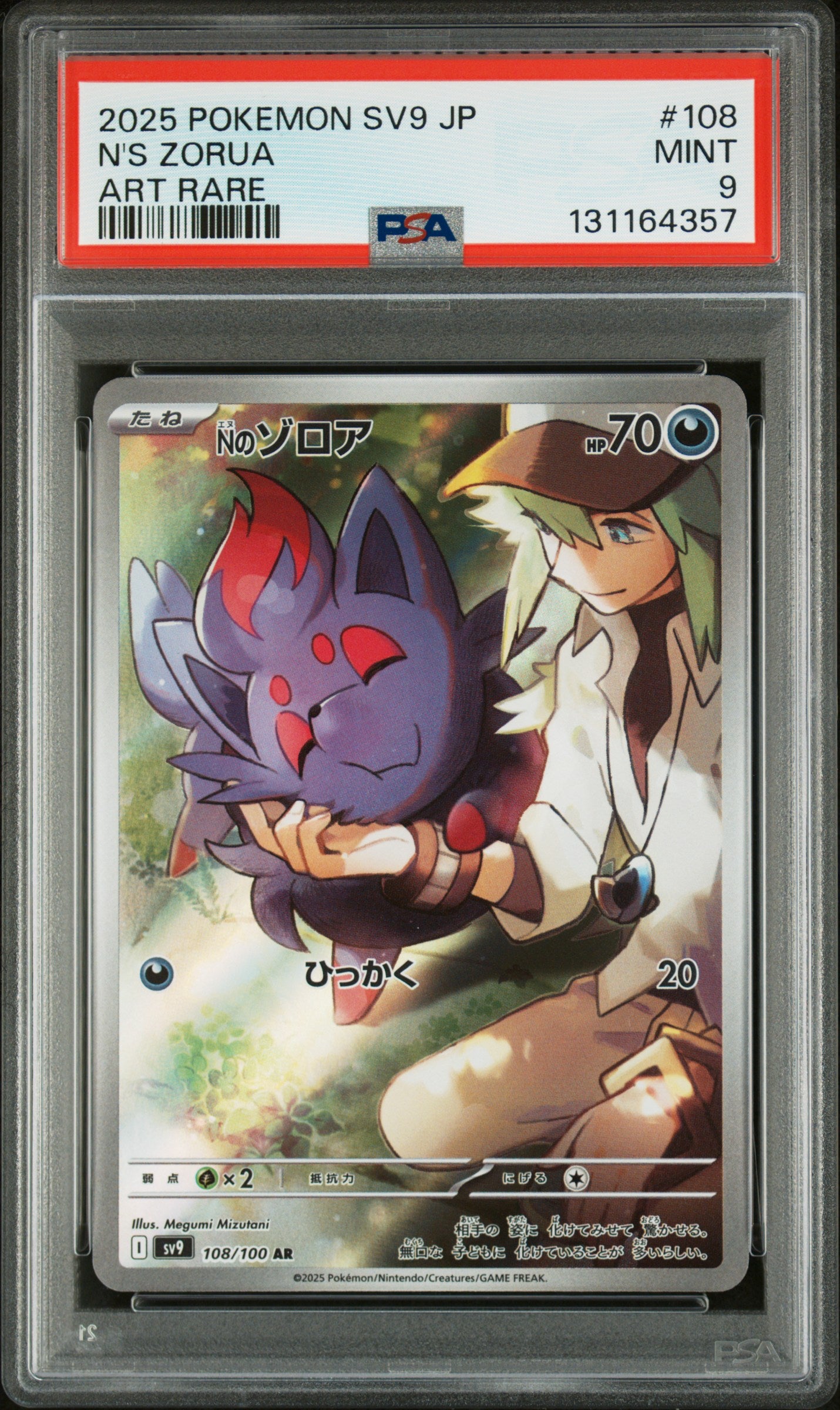 N'S ZORUA