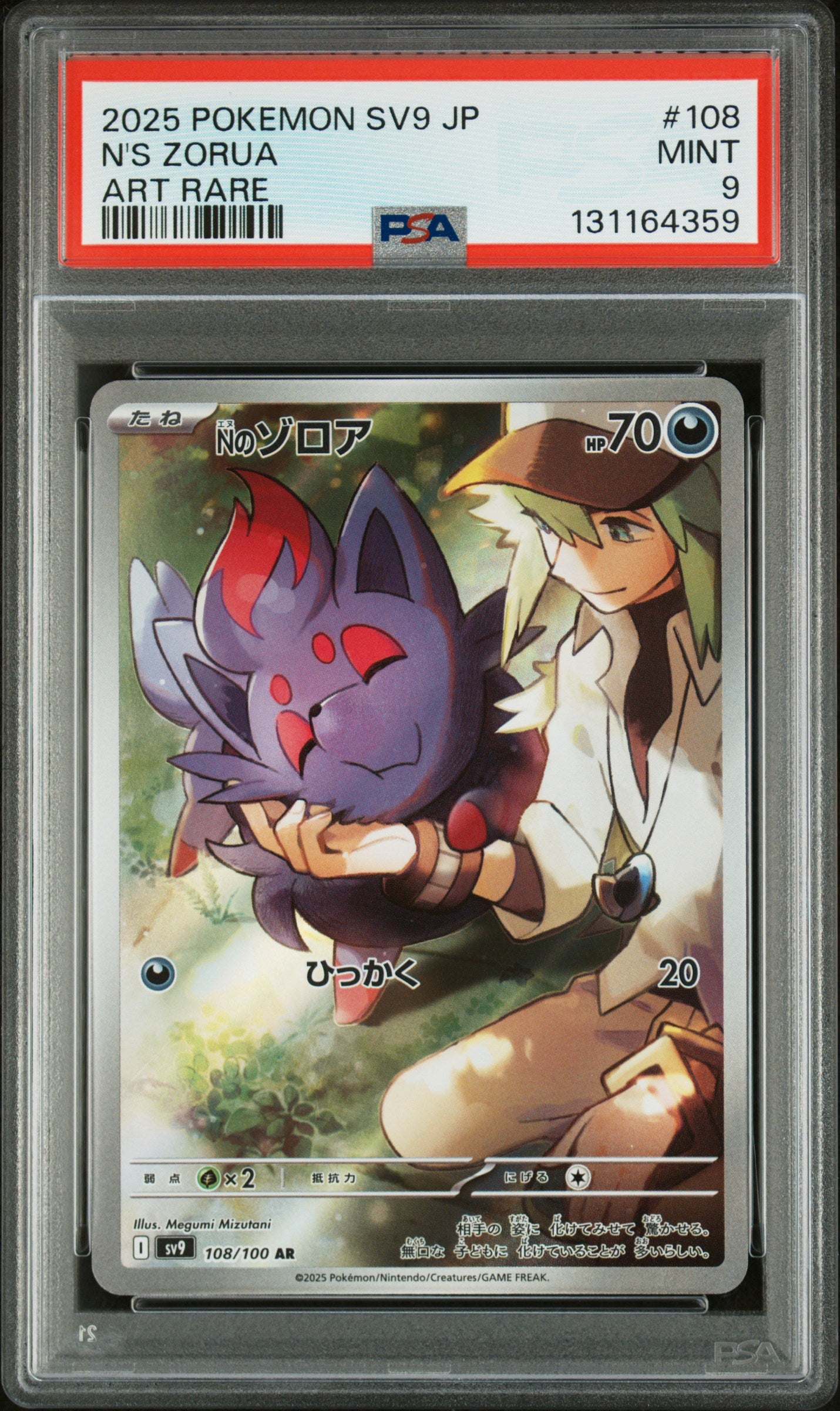 N'S ZORUA