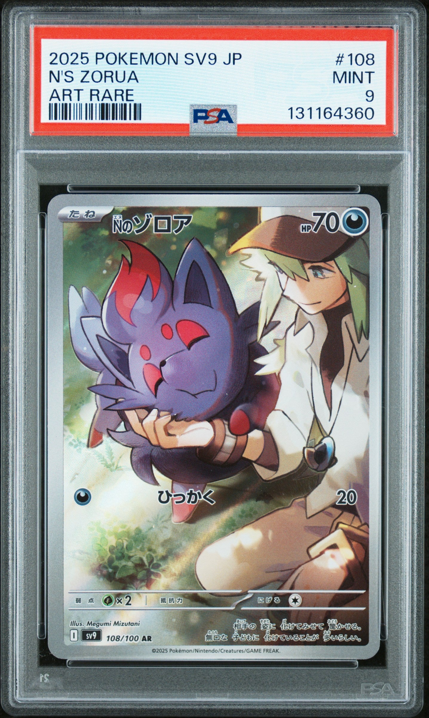 N'S ZORUA