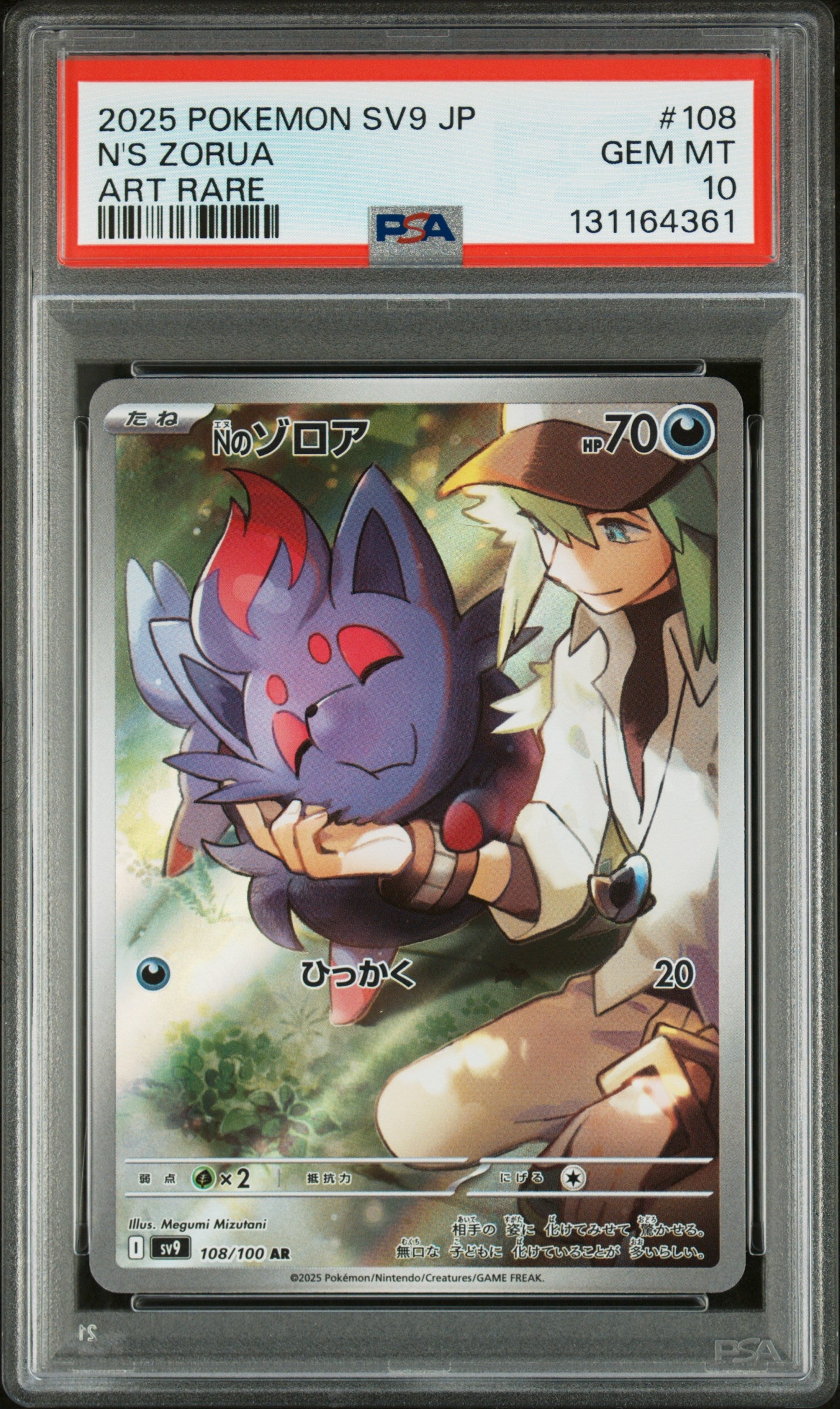 N'S ZORUA