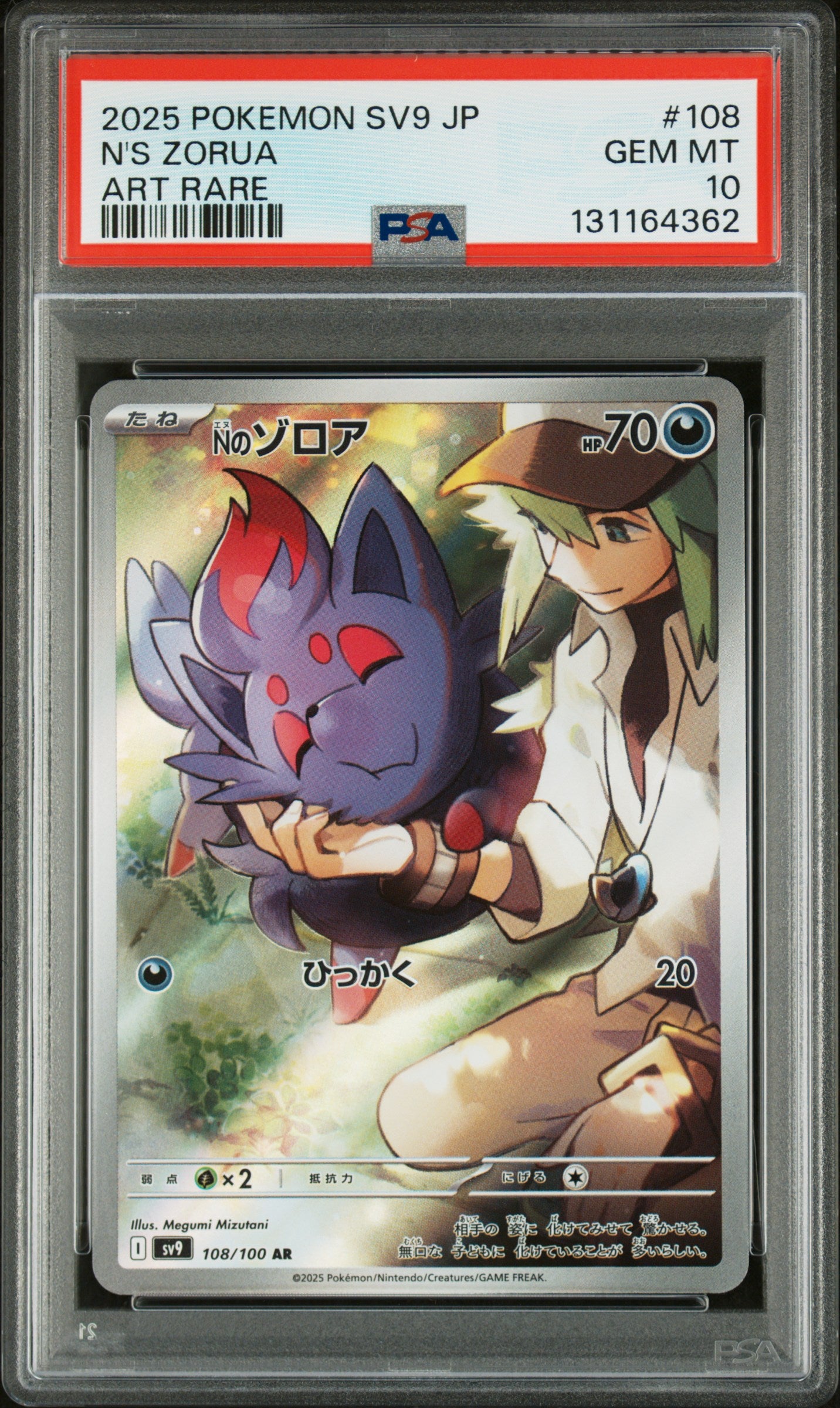 N'S ZORUA