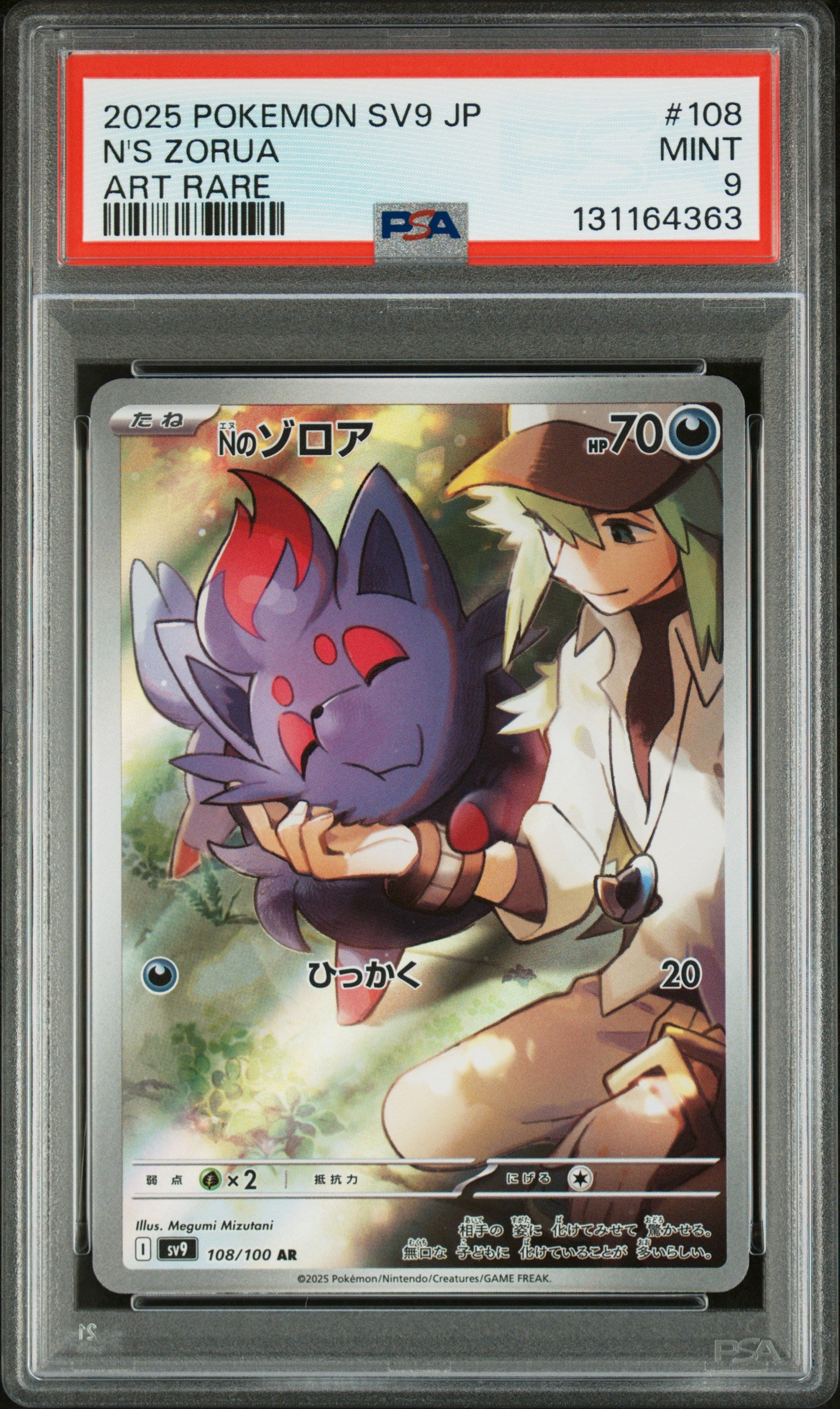 N'S ZORUA