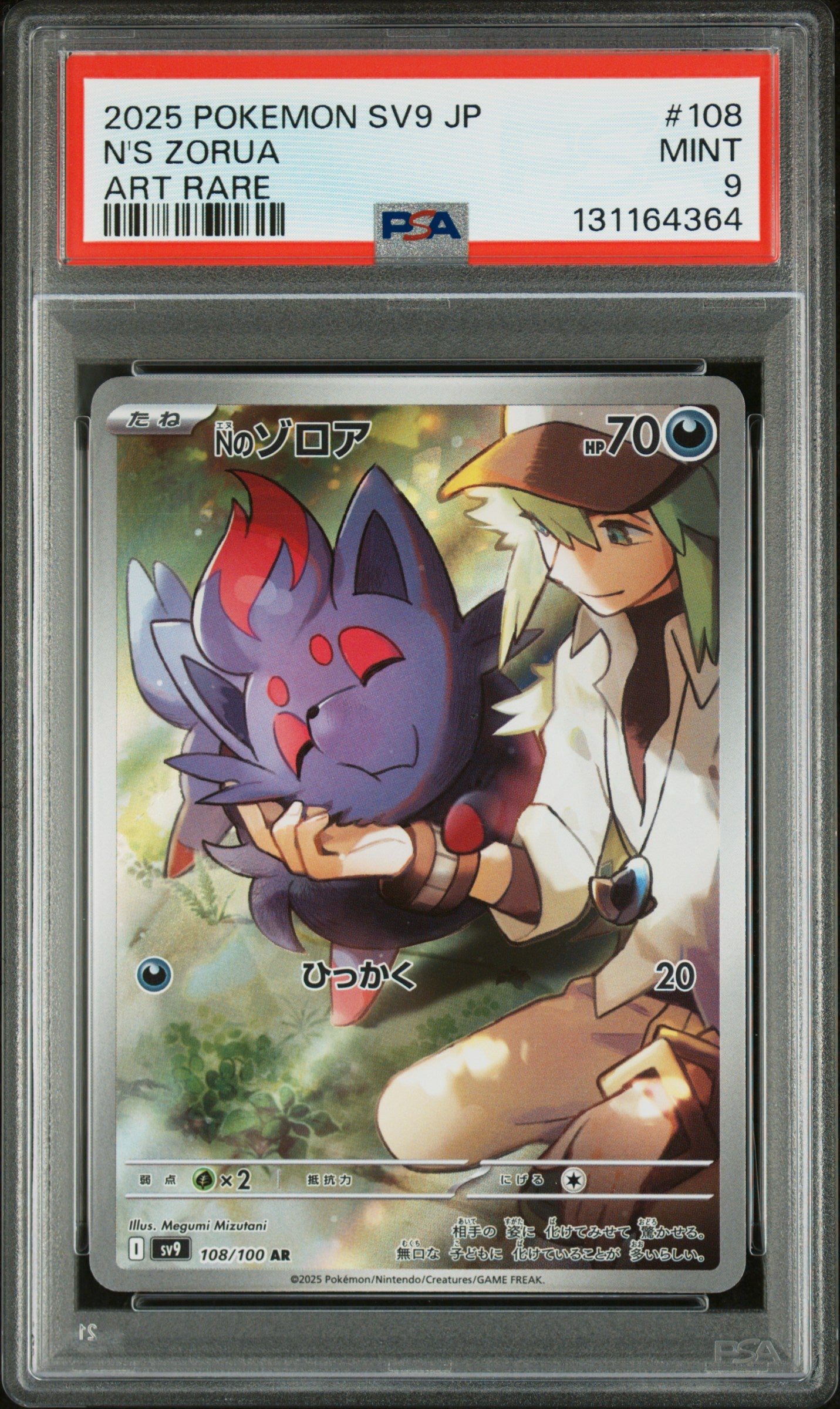 N'S ZORUA