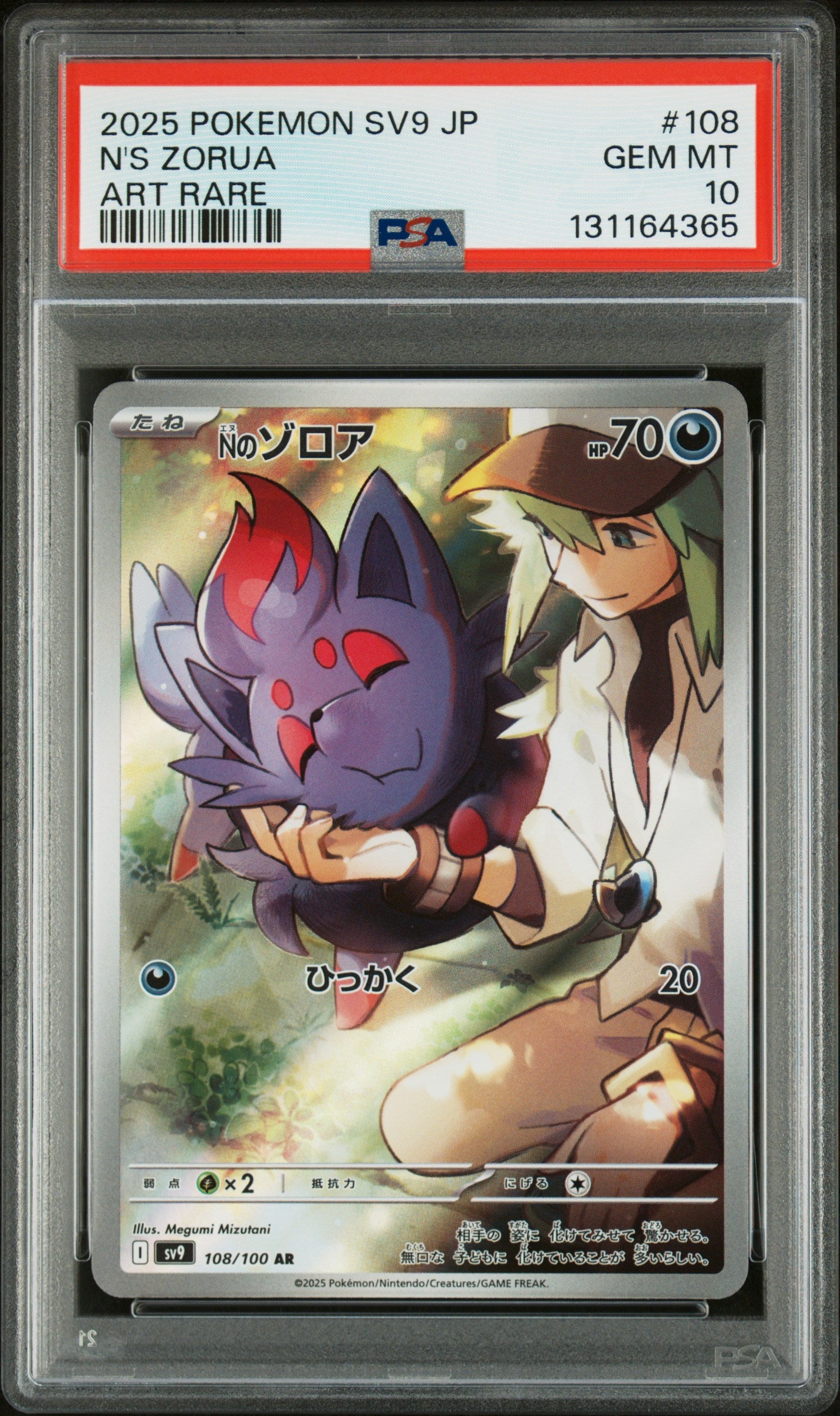 N'S ZORUA