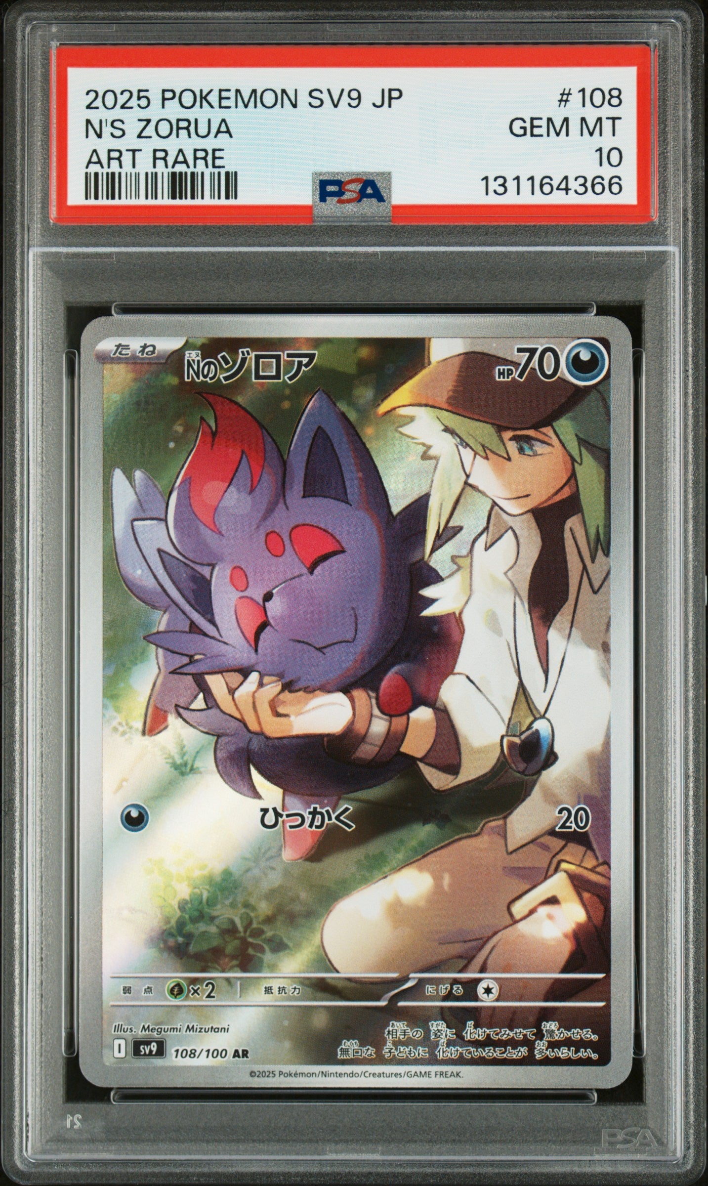 N'S ZORUA