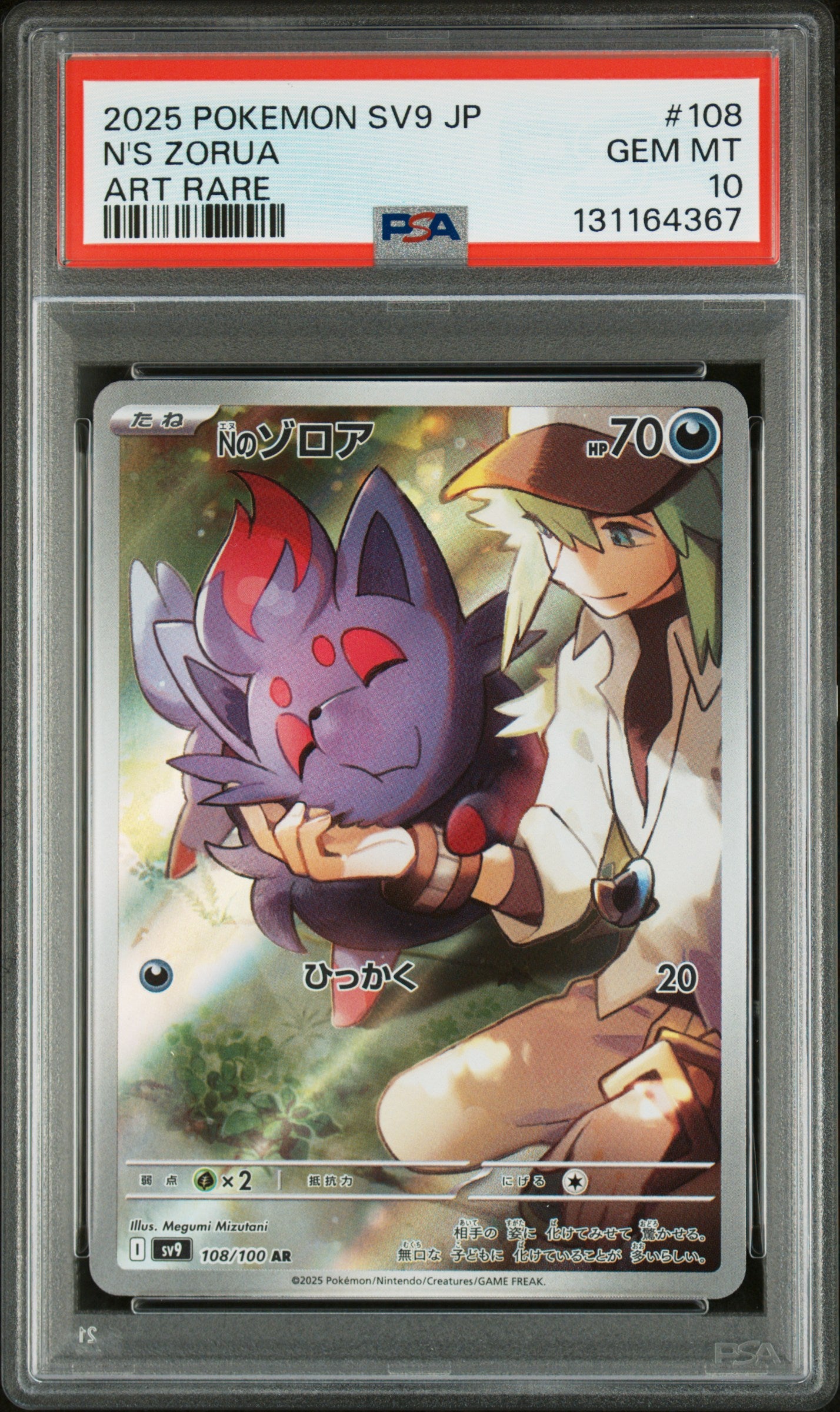 N'S ZORUA