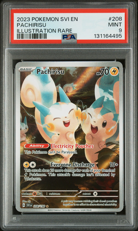 PACHIRISU