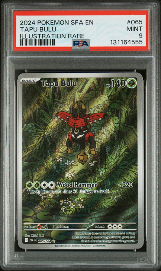 TAPU BULU