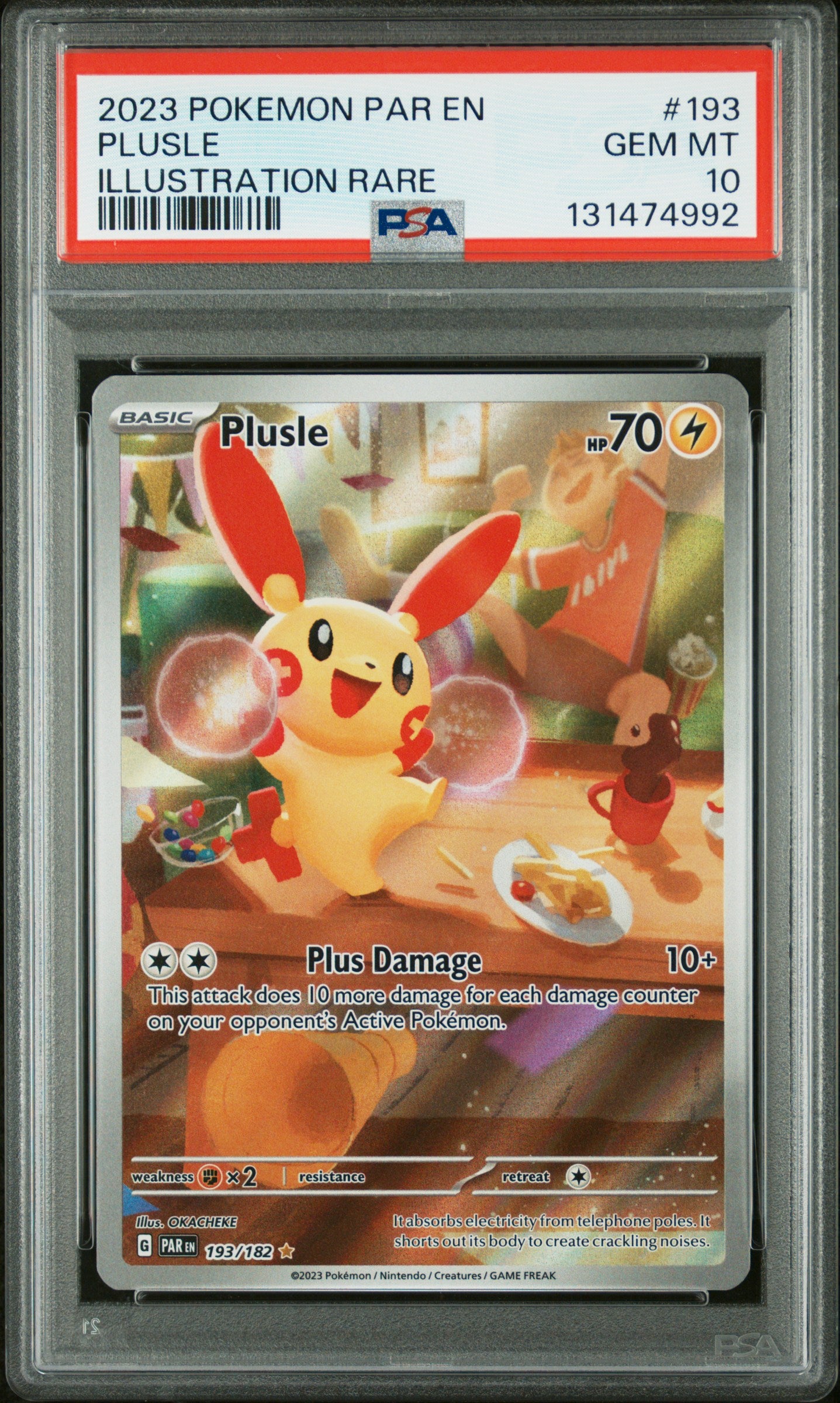 PLUSLE