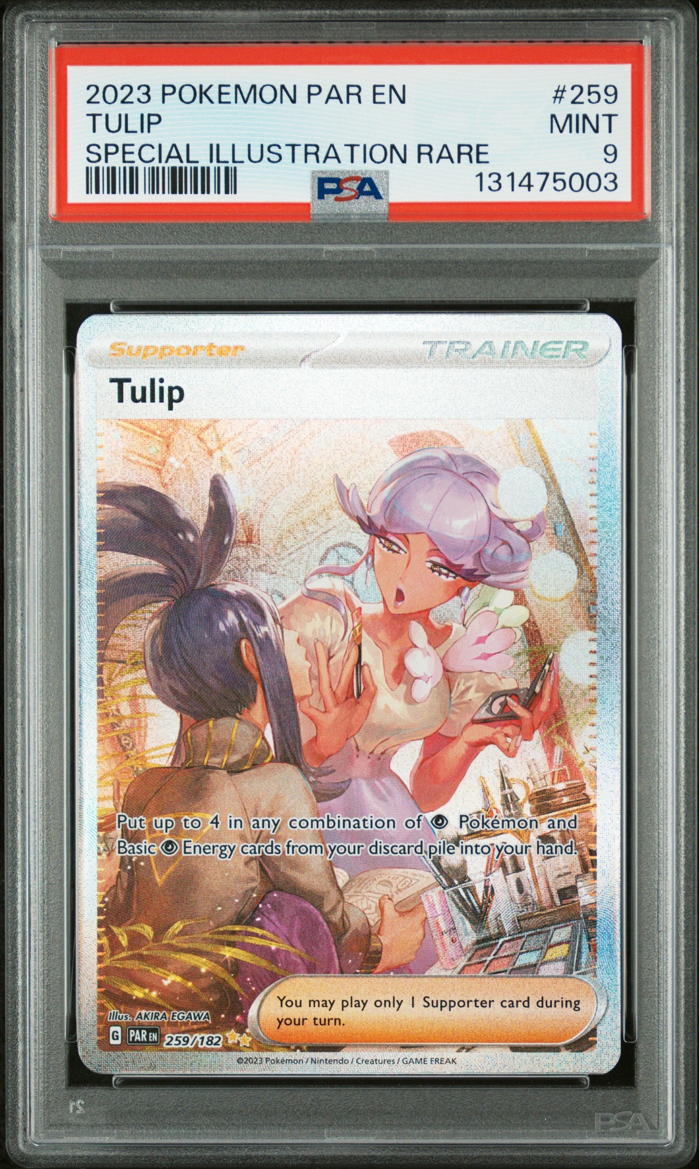 TULIP
