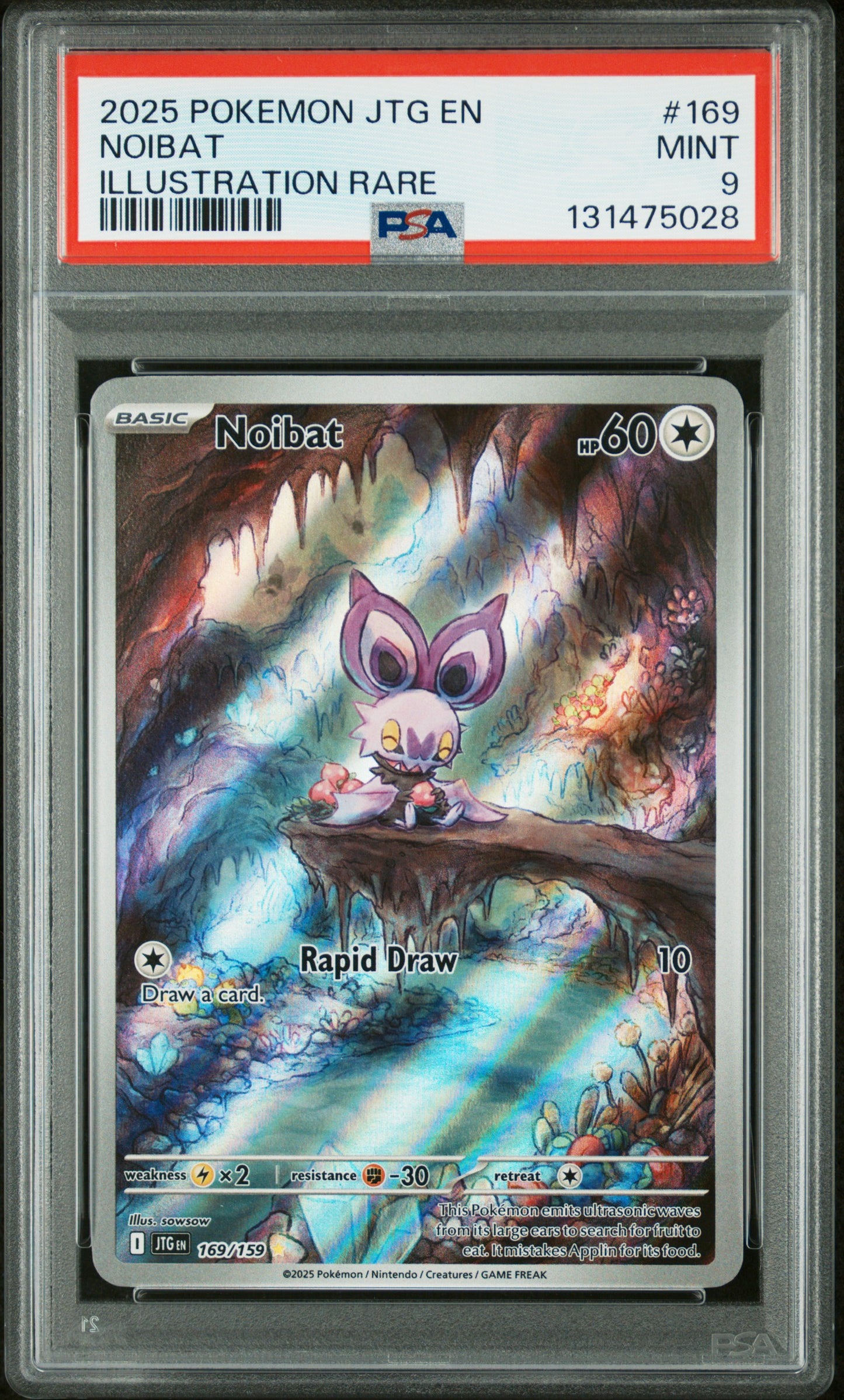 NOIBAT