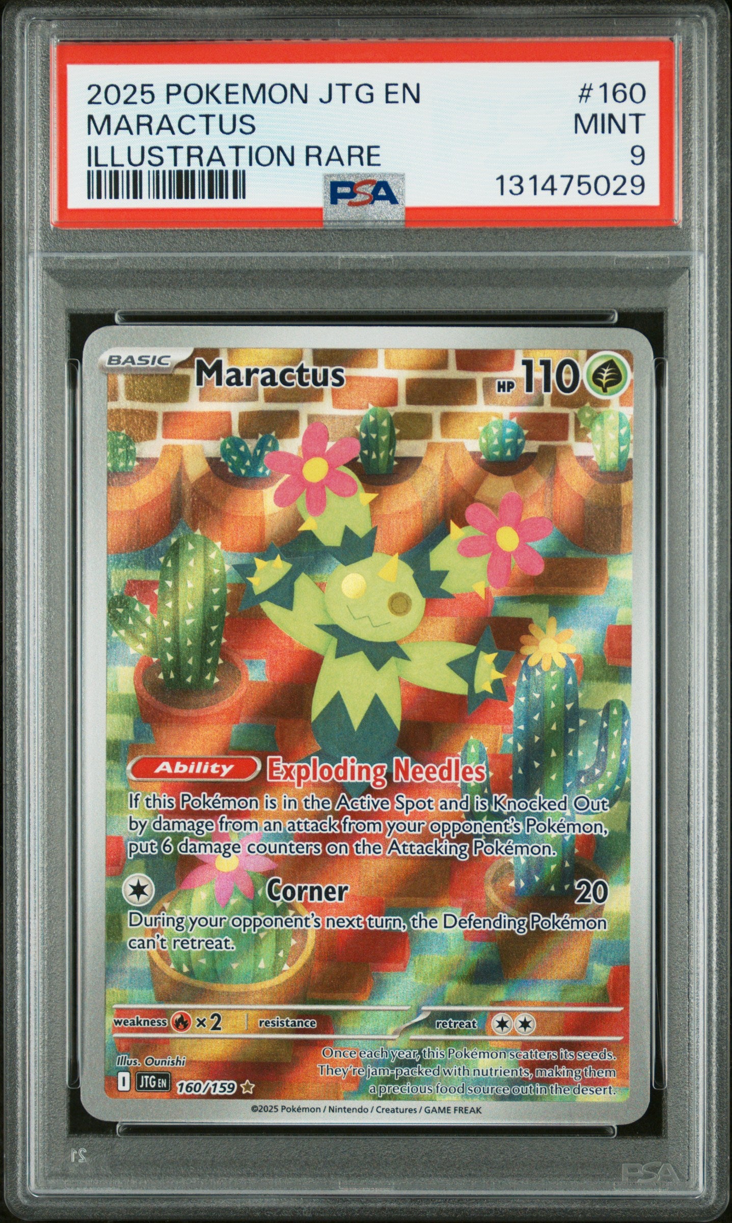 MARACTUS