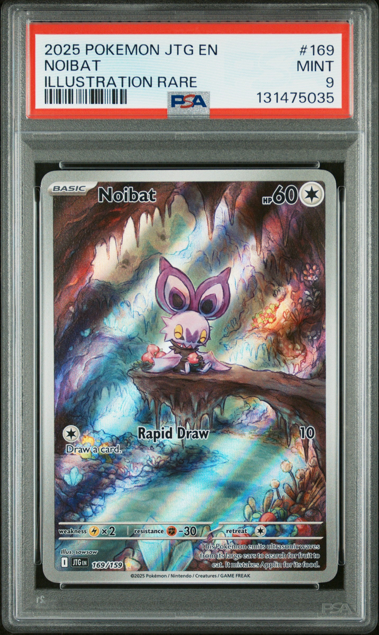 NOIBAT