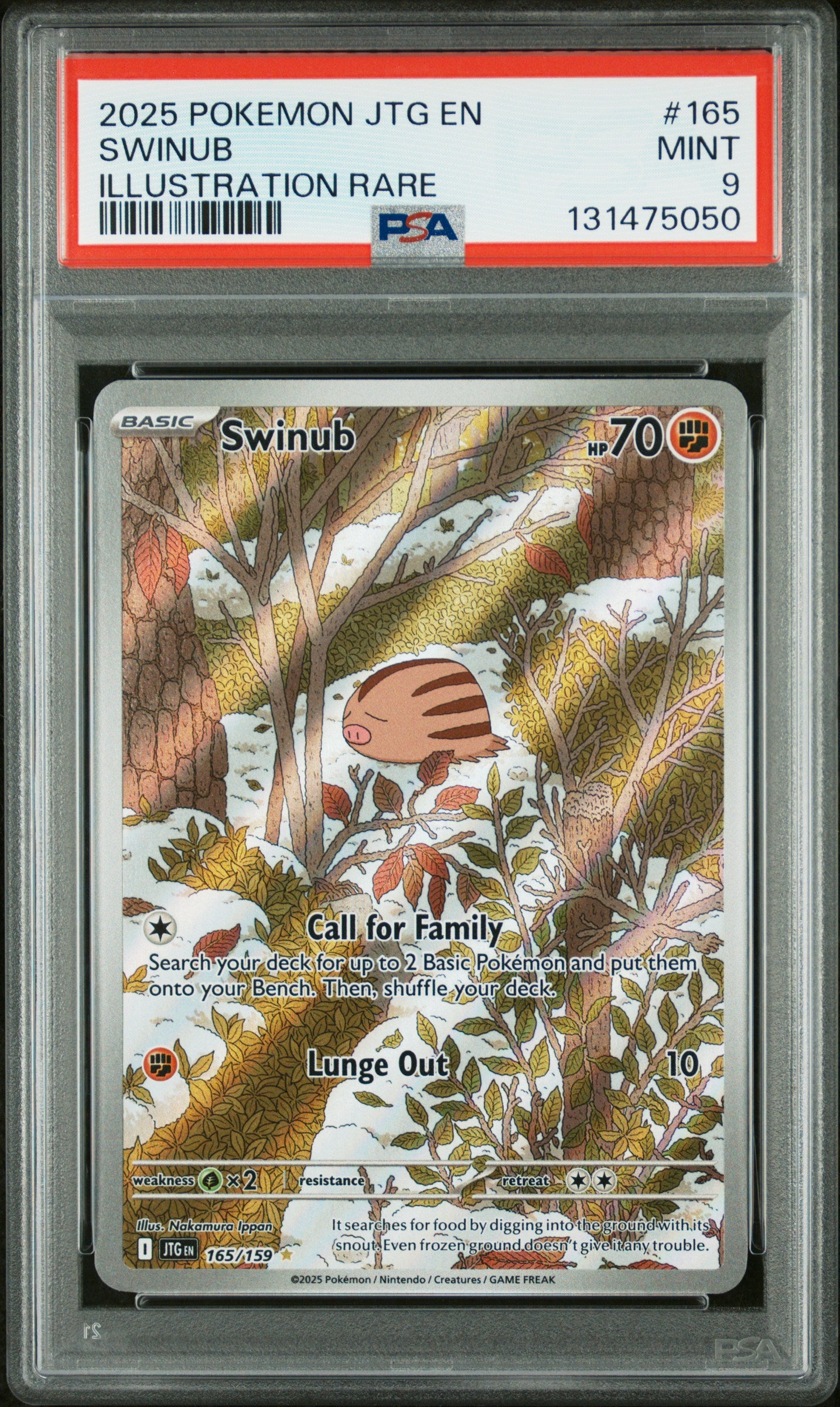 SWINUB