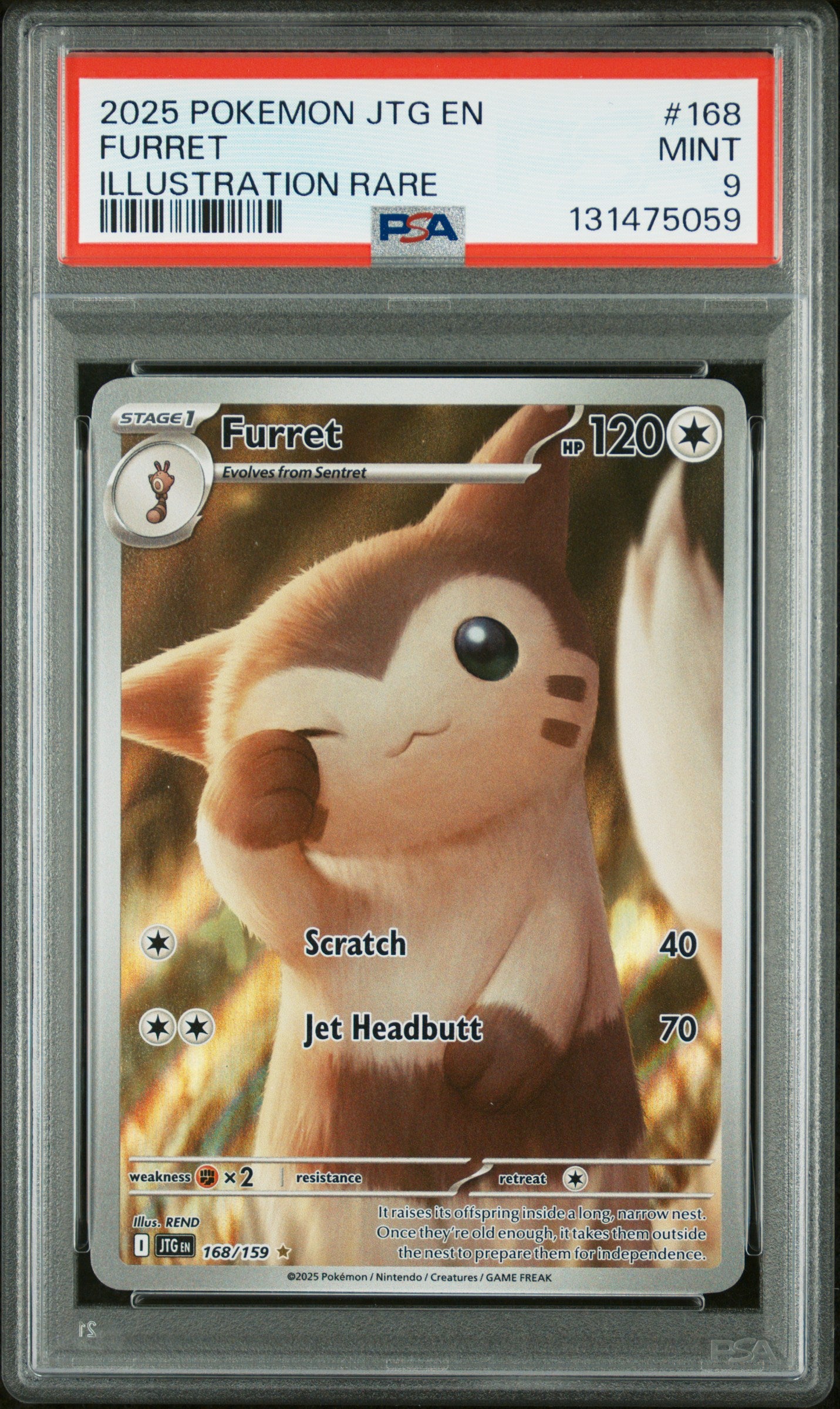 FURRET
