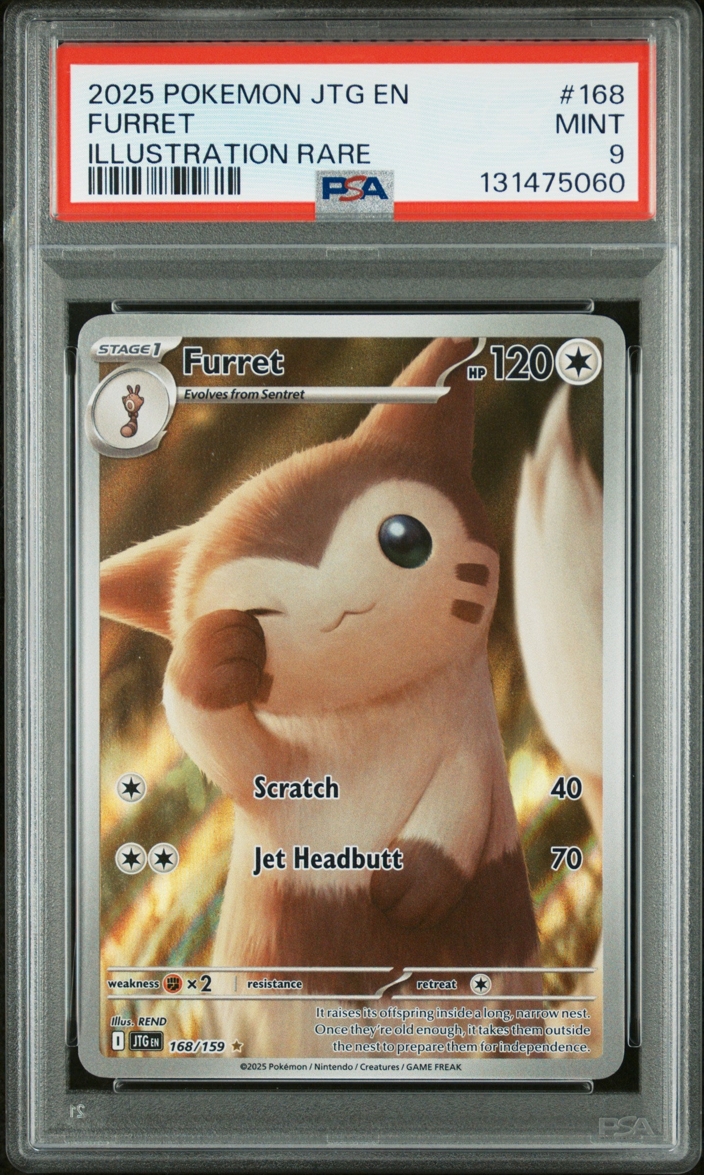 FURRET