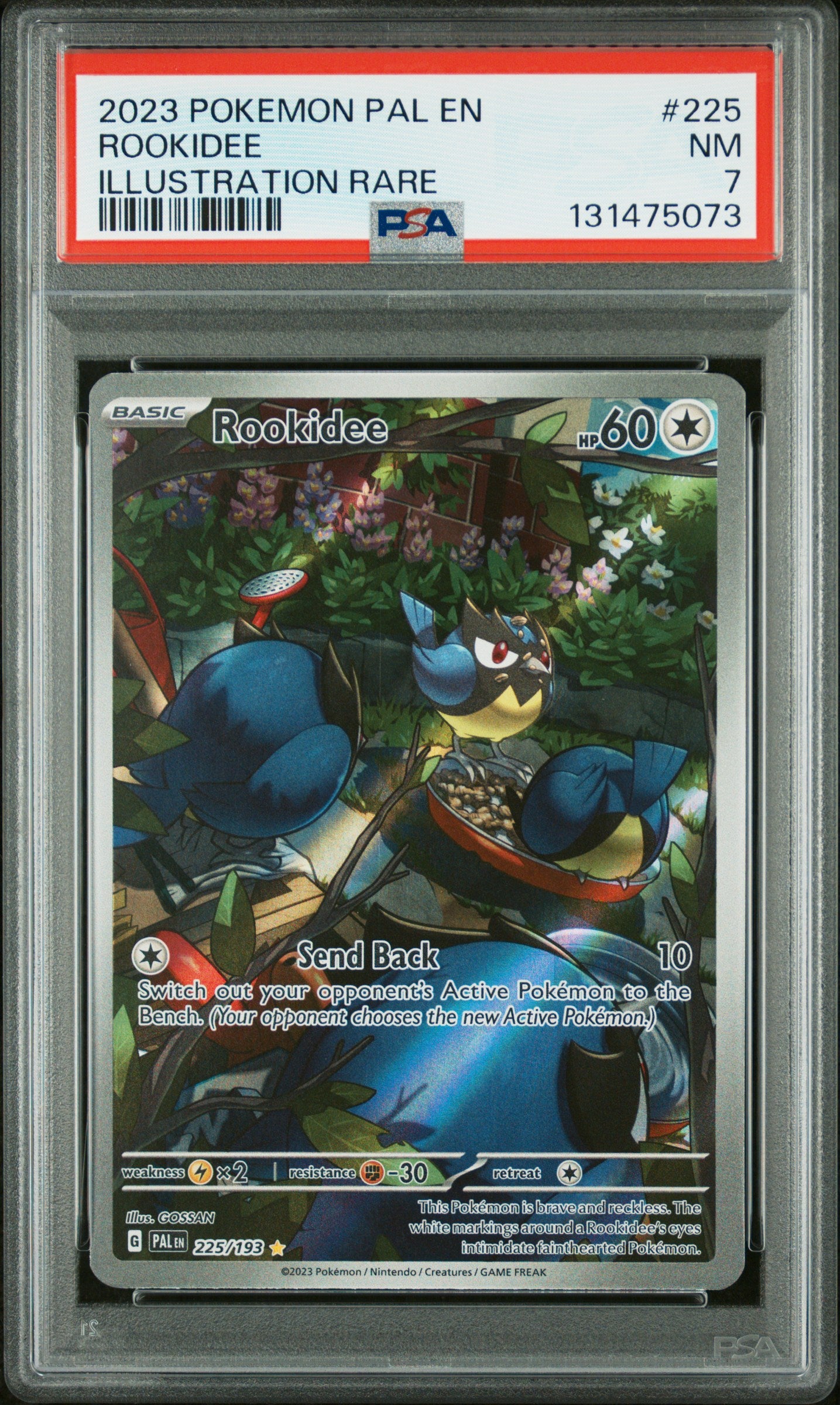 ROOKIDEE