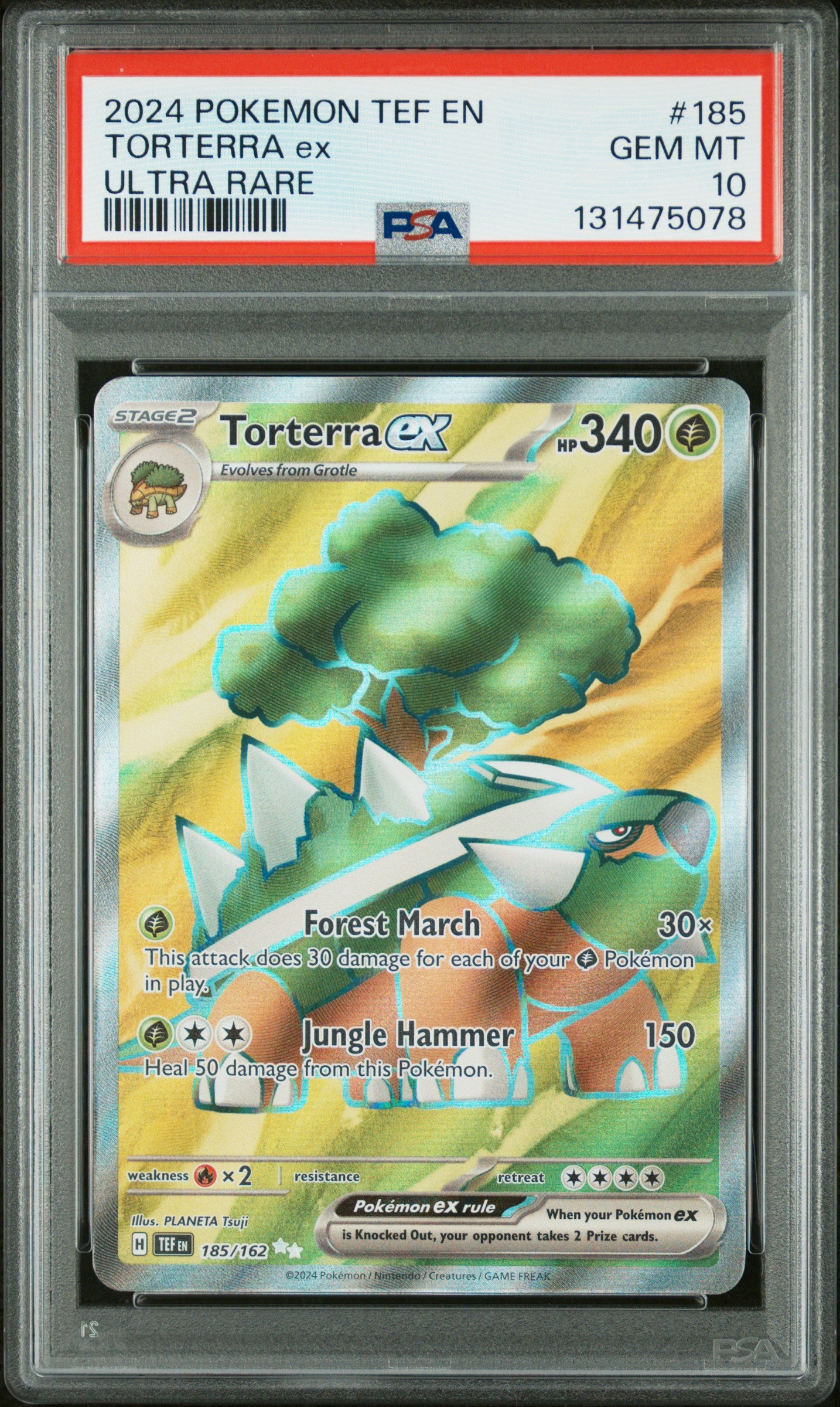TORTERRA ex
