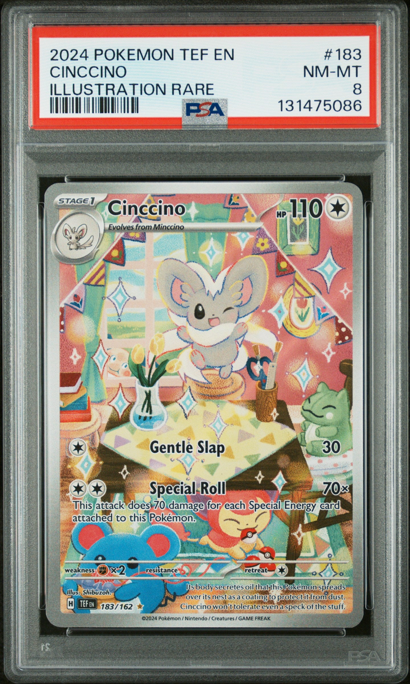 CINCCINO