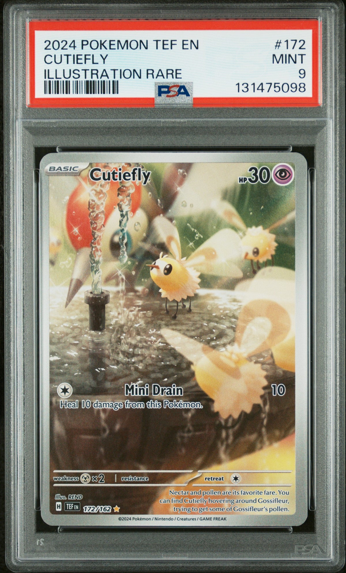 CUTIEFLY