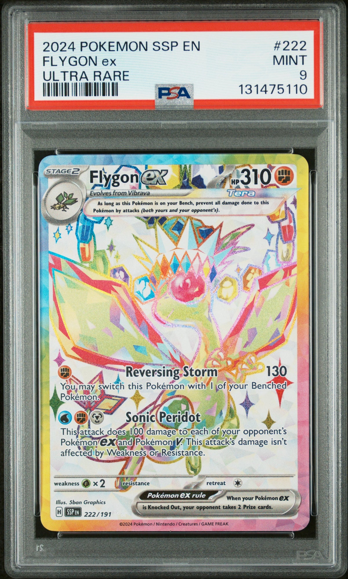 FLYGON ex